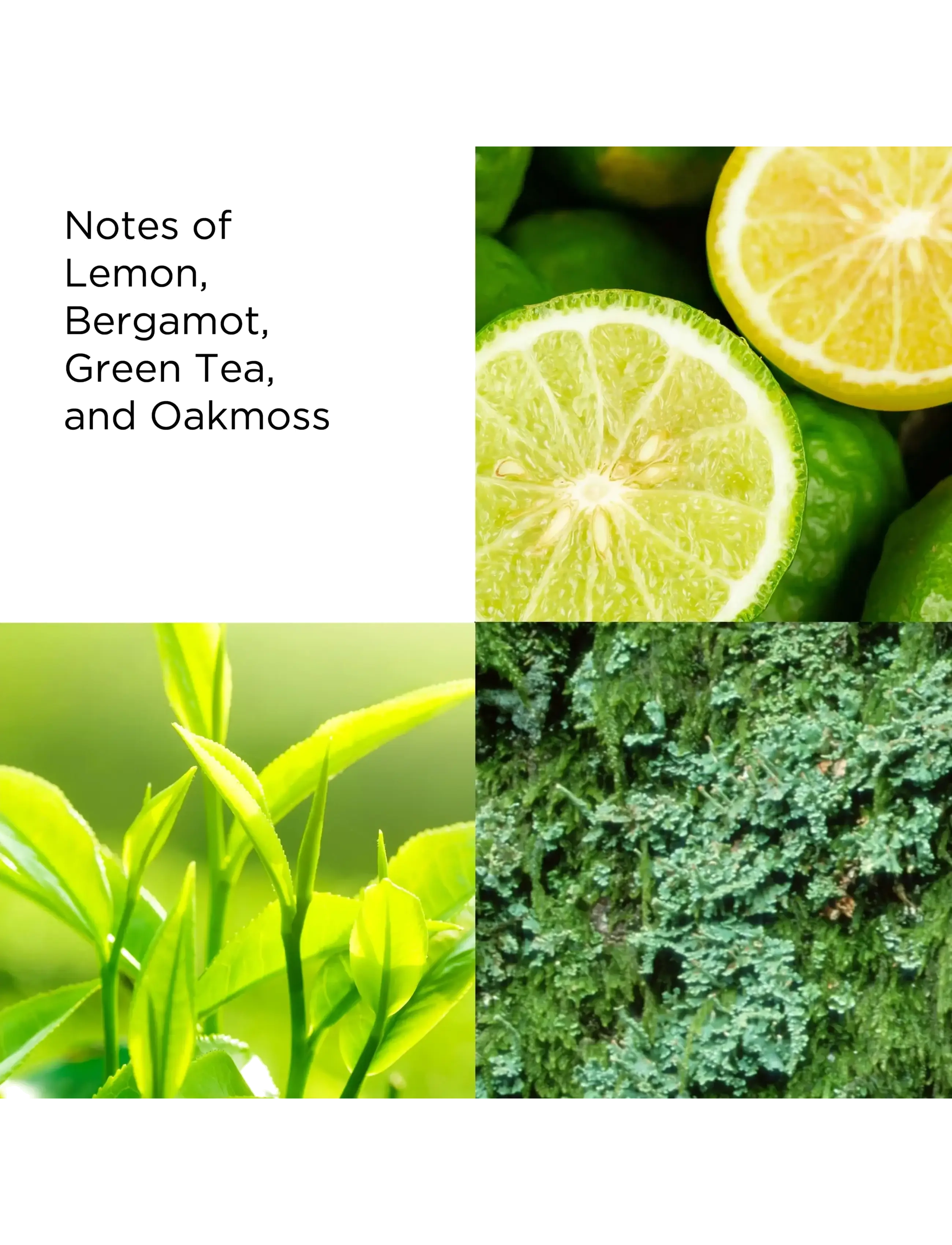 Green Tea Eau De Toilette 3