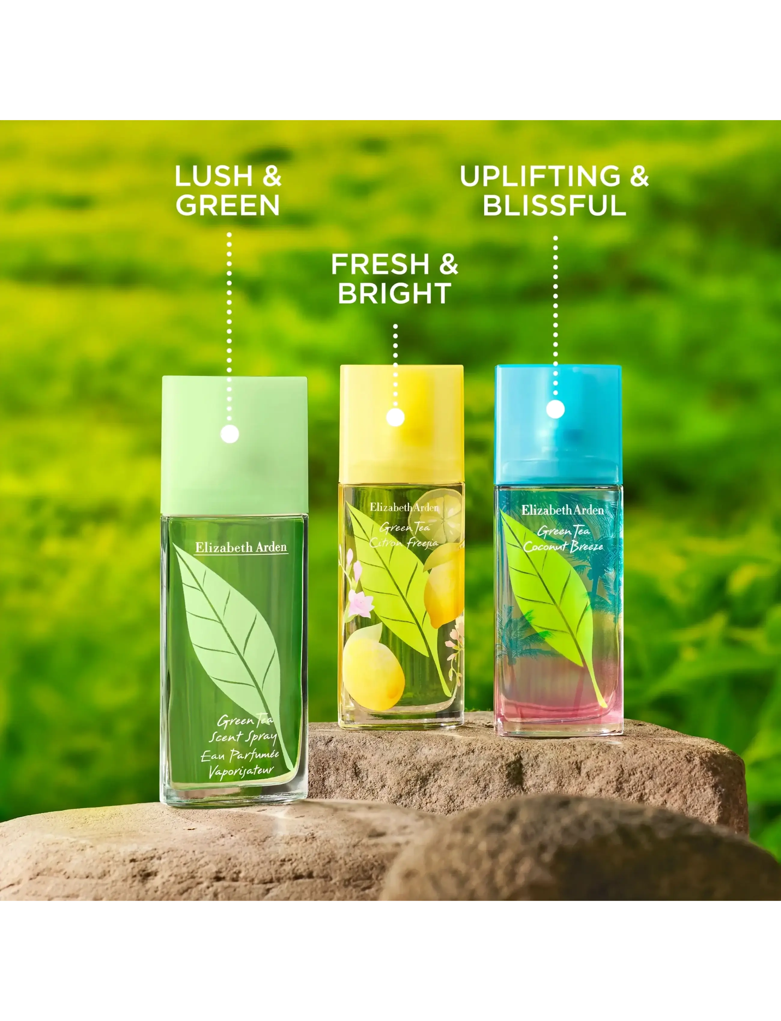 Green Tea Eau De Toilette 6
