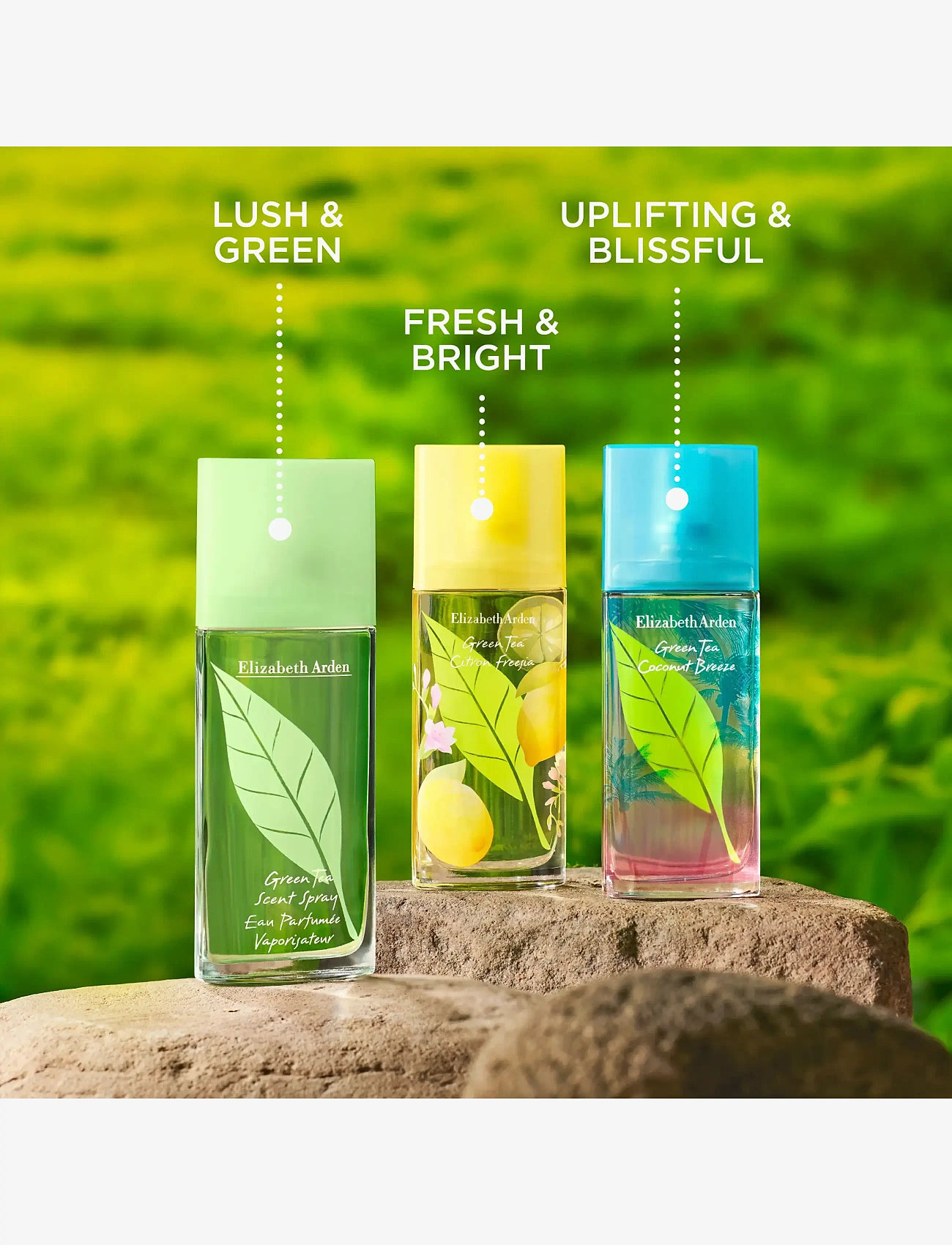 Elizabeth Arden - GREEN TEA EAU DE TOILETTE - bliv klar til date night - clear - 5