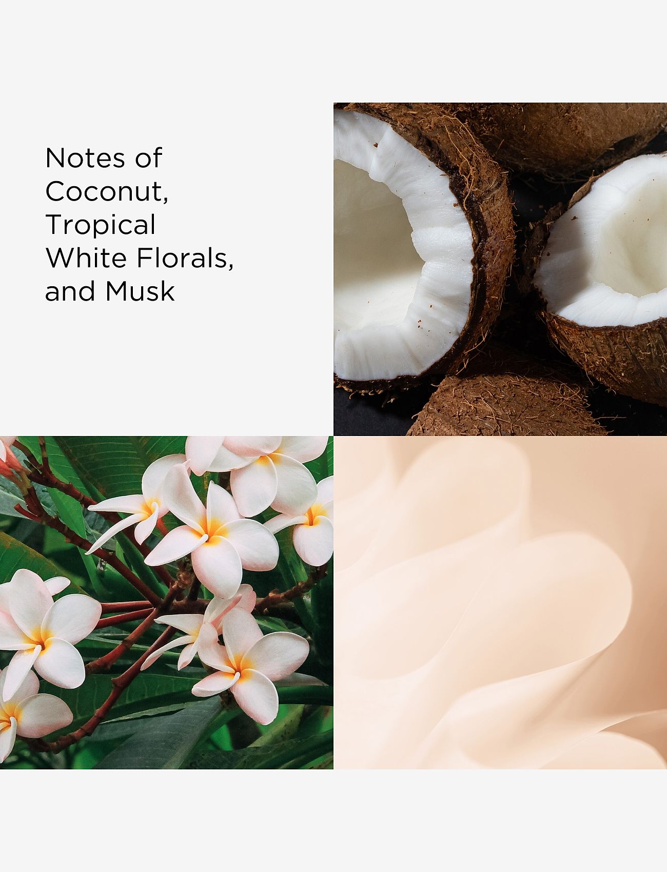 Elizabeth Arden - Elizabeth Arden Green Tea Coconut Breeze Eau de toilette 50 ML - til hende  - clear - 2