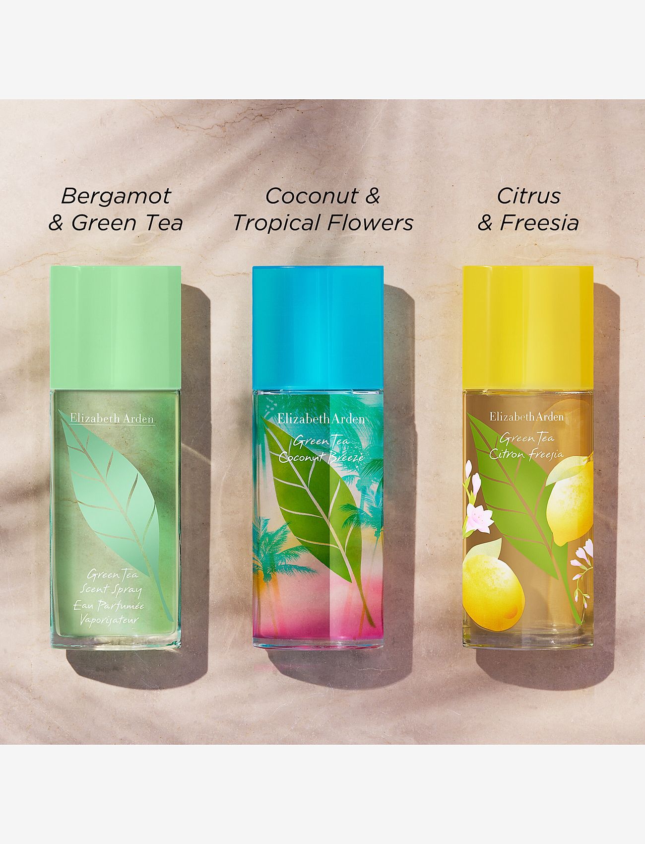 Elizabeth Arden - Elizabeth Arden Green Tea Coconut Breeze Eau de toilette 50 ML - til hende  - clear - 5