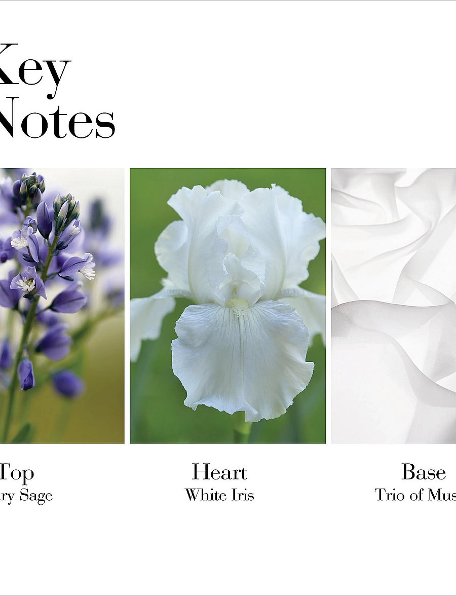 Elizabeth Arden - WHITE TEA EAU DE TOILETTE - til hende - clear - 0