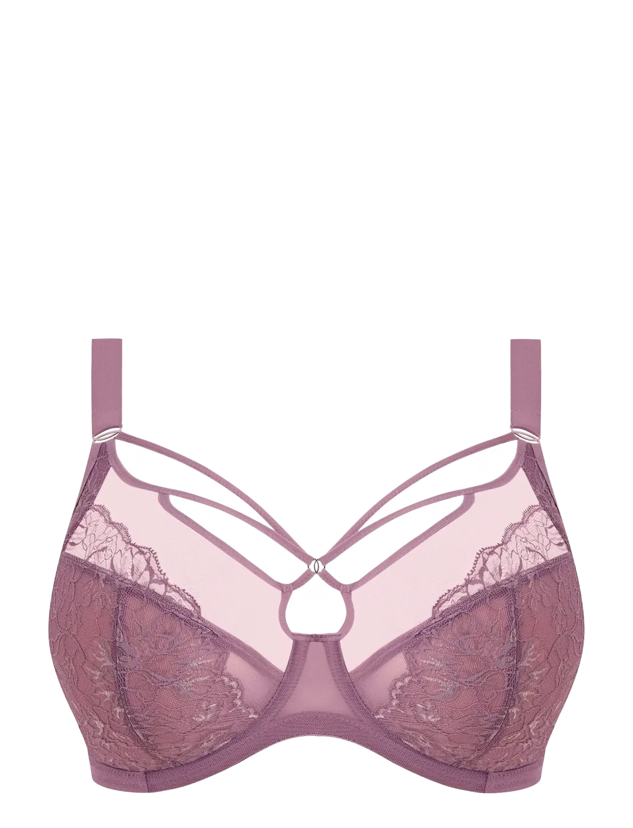 Elomi BRIANNA - Nyheder - HEATHER / purple