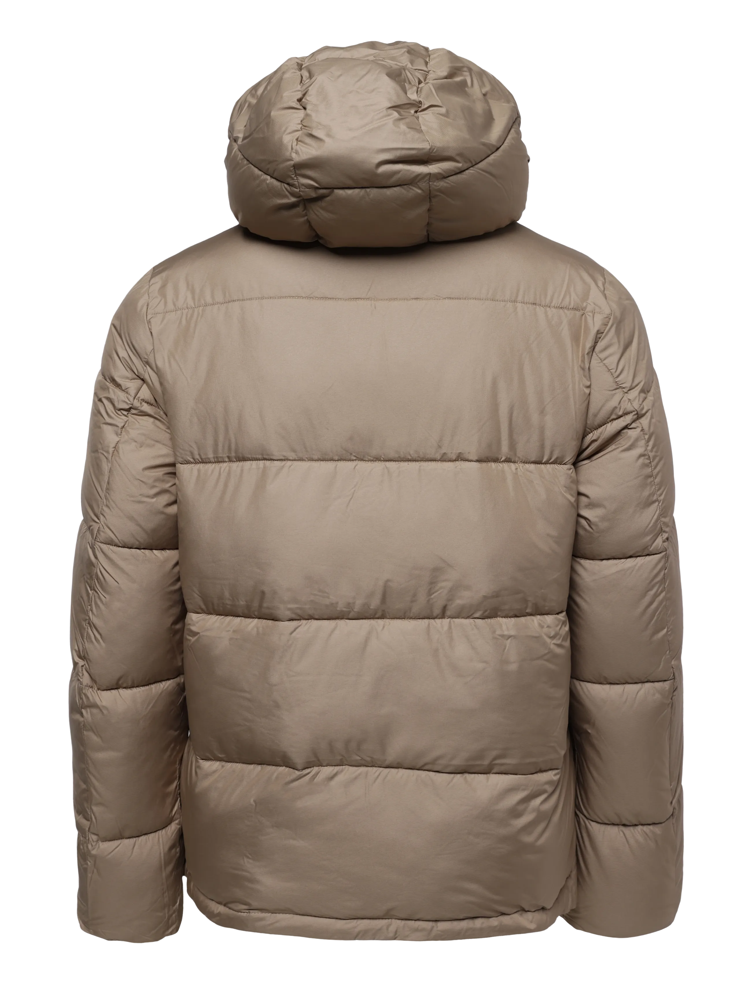 ELVINE - Bjarne - herbstjacken - light olive - 1