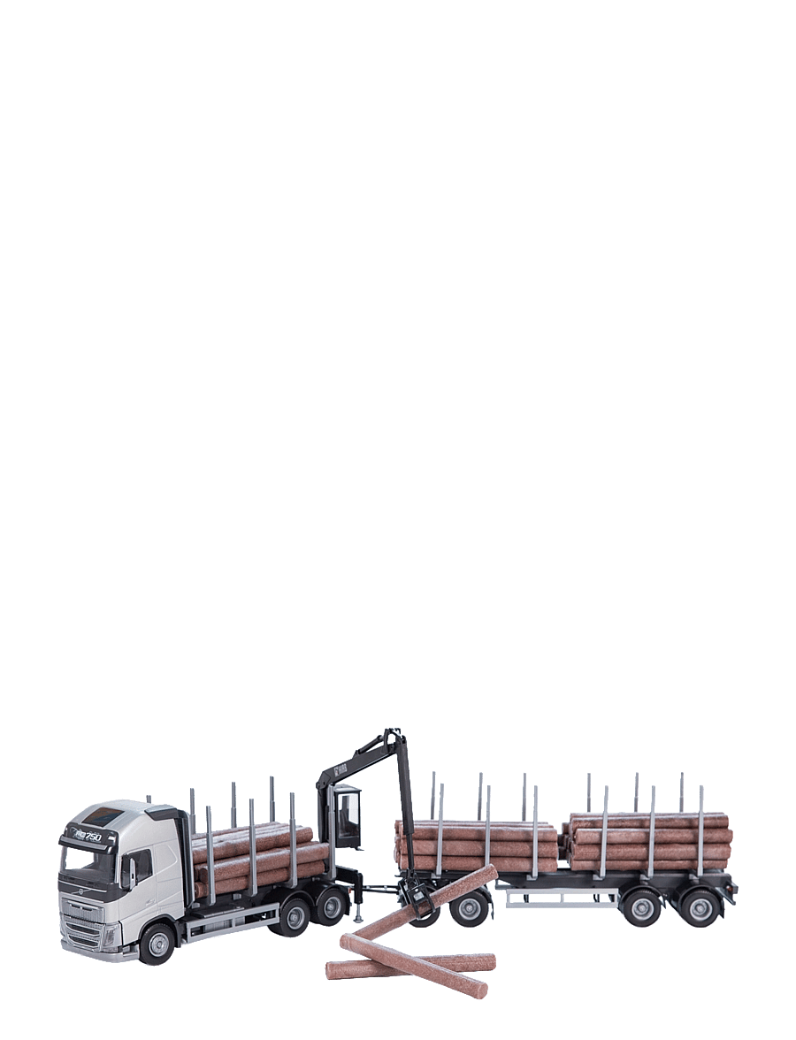 EMEK - VOLVO FH 16 TIMMERBIL, SILVER - lastebiler - multi - 0