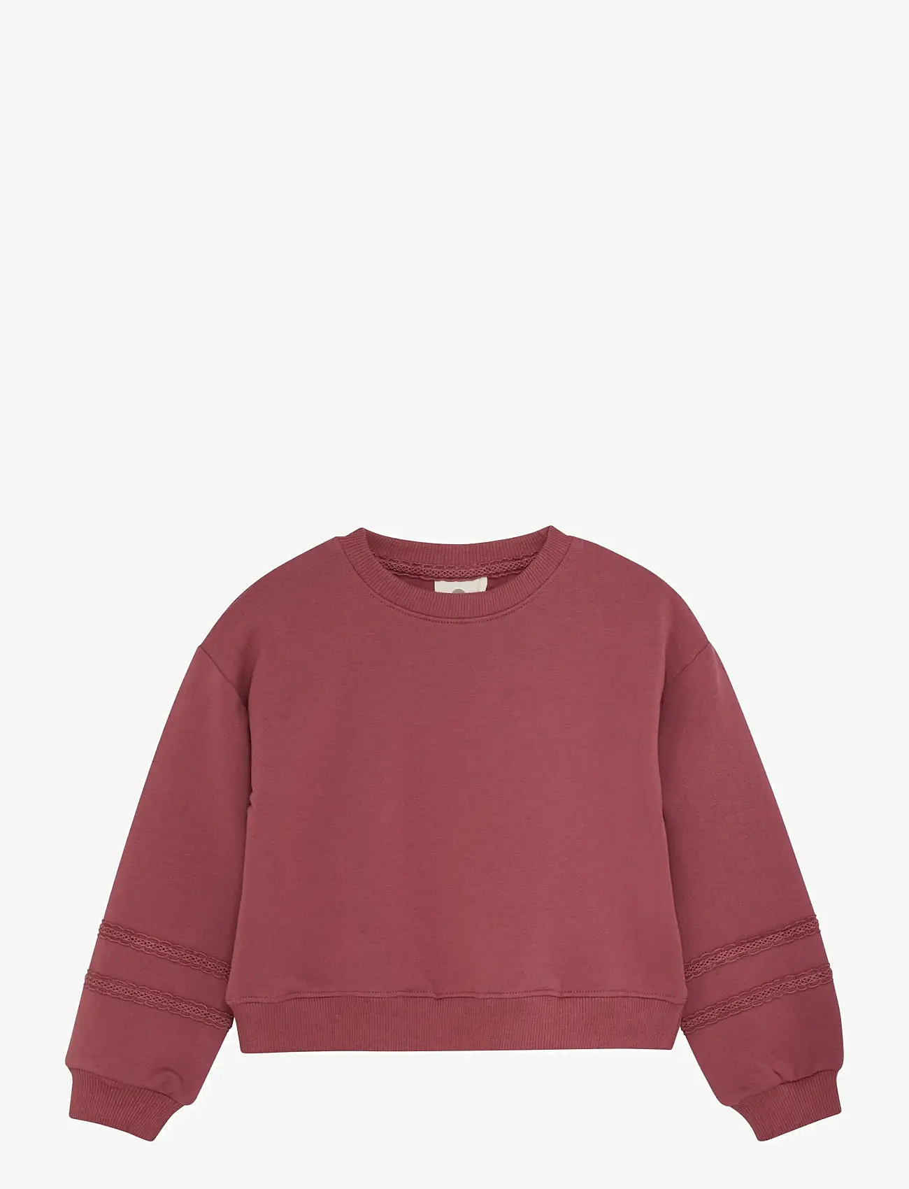 En Fant - Sweatshirt LS - sügisesed riided - roan rouge - 0