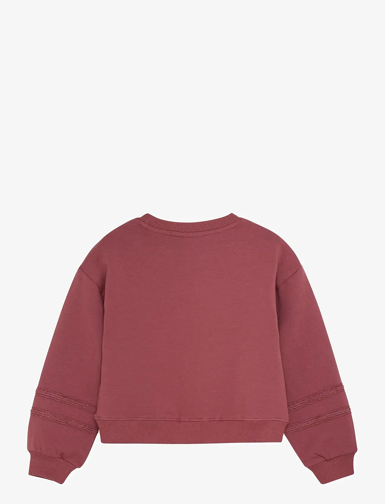 En Fant - Sweatshirt LS - sügisesed riided - roan rouge - 1