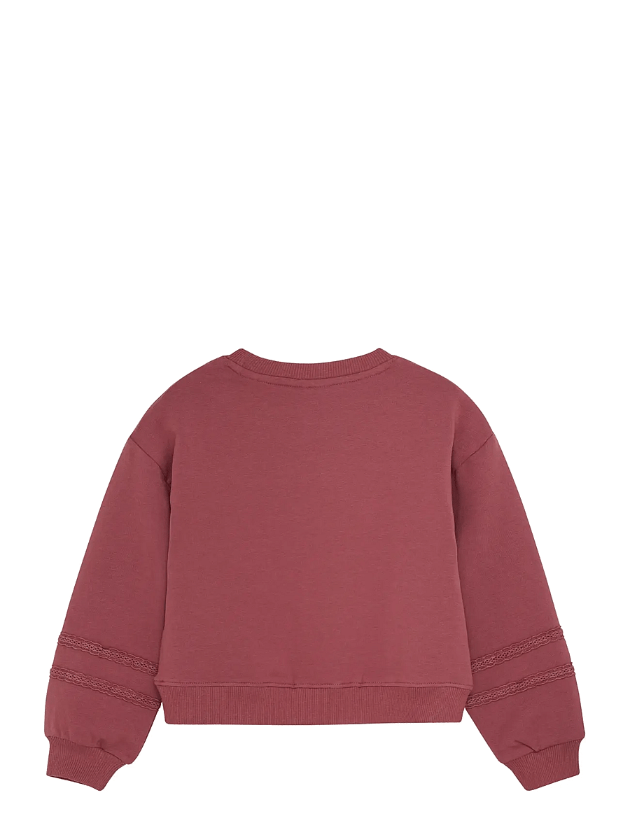 En Fant - Sweatshirt LS - sporta džemperi - roan rouge - 1