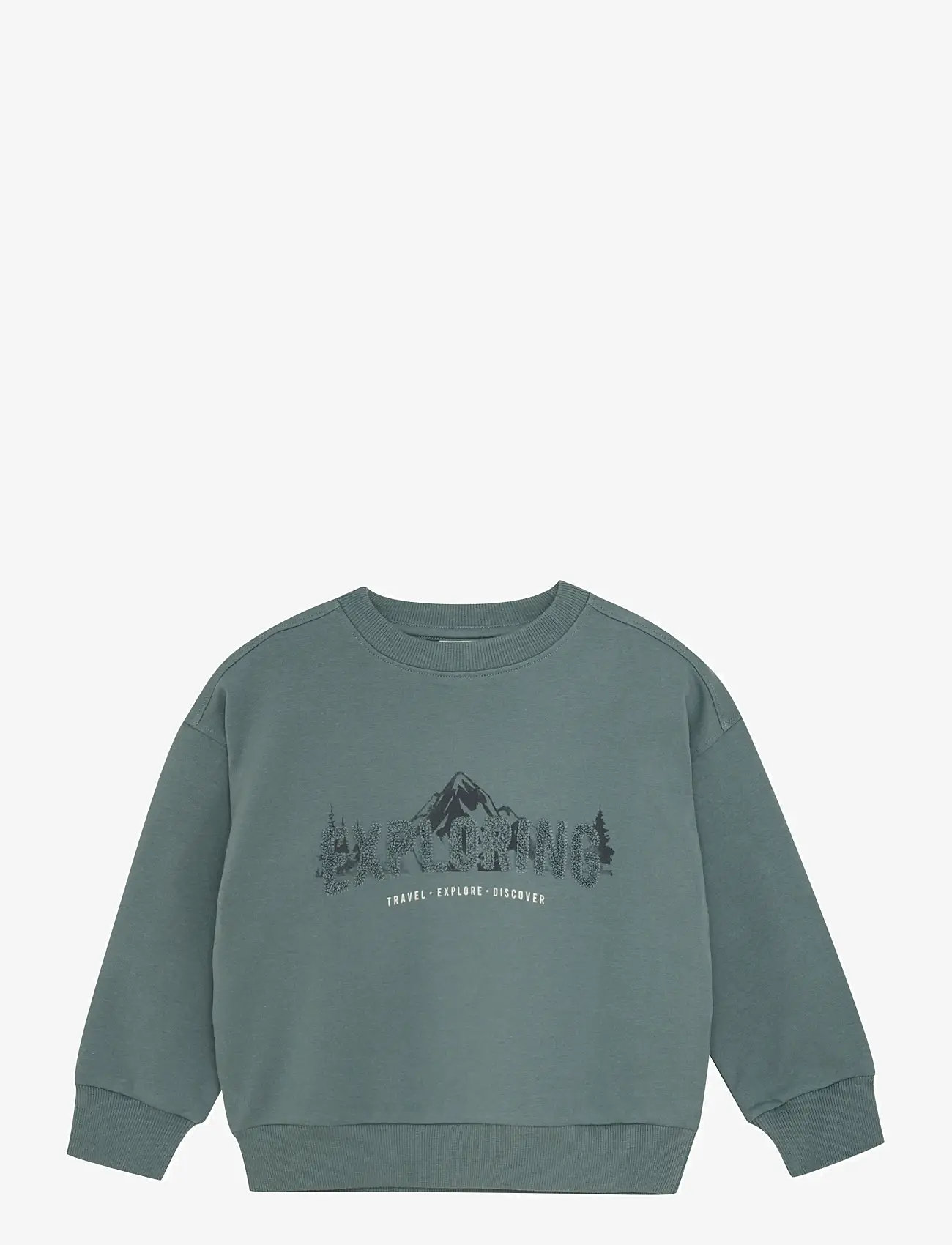 En Fant - Sweatshirt - dressipluusid - balsam green - 1