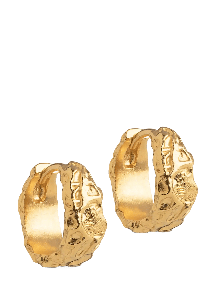 Enamel Copenhagen - Hoops, Nela - gold plated - 1