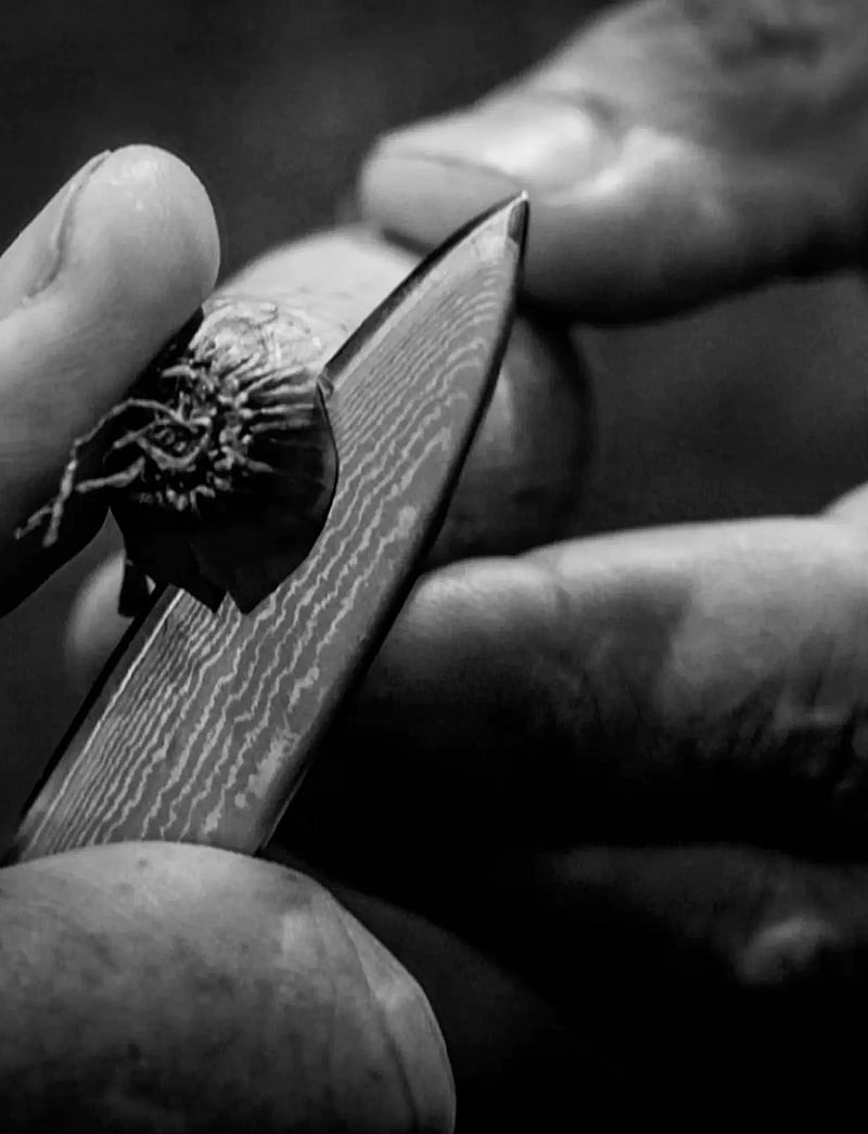 Endeavour - Endeavour® Herb Knife (or Paring Knife) - gemüsemesser - black - 4