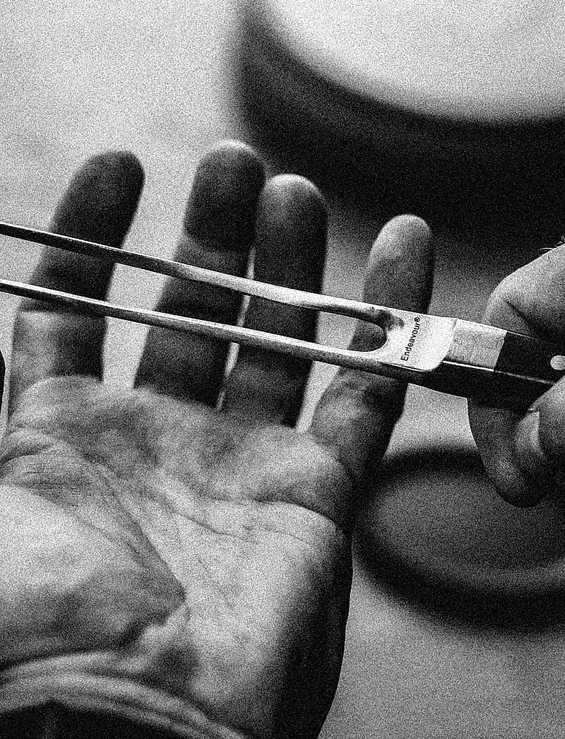 Endeavour - Endeavour® Carving Fork (or Roasting Fork) - lihakahvlid - black - 2