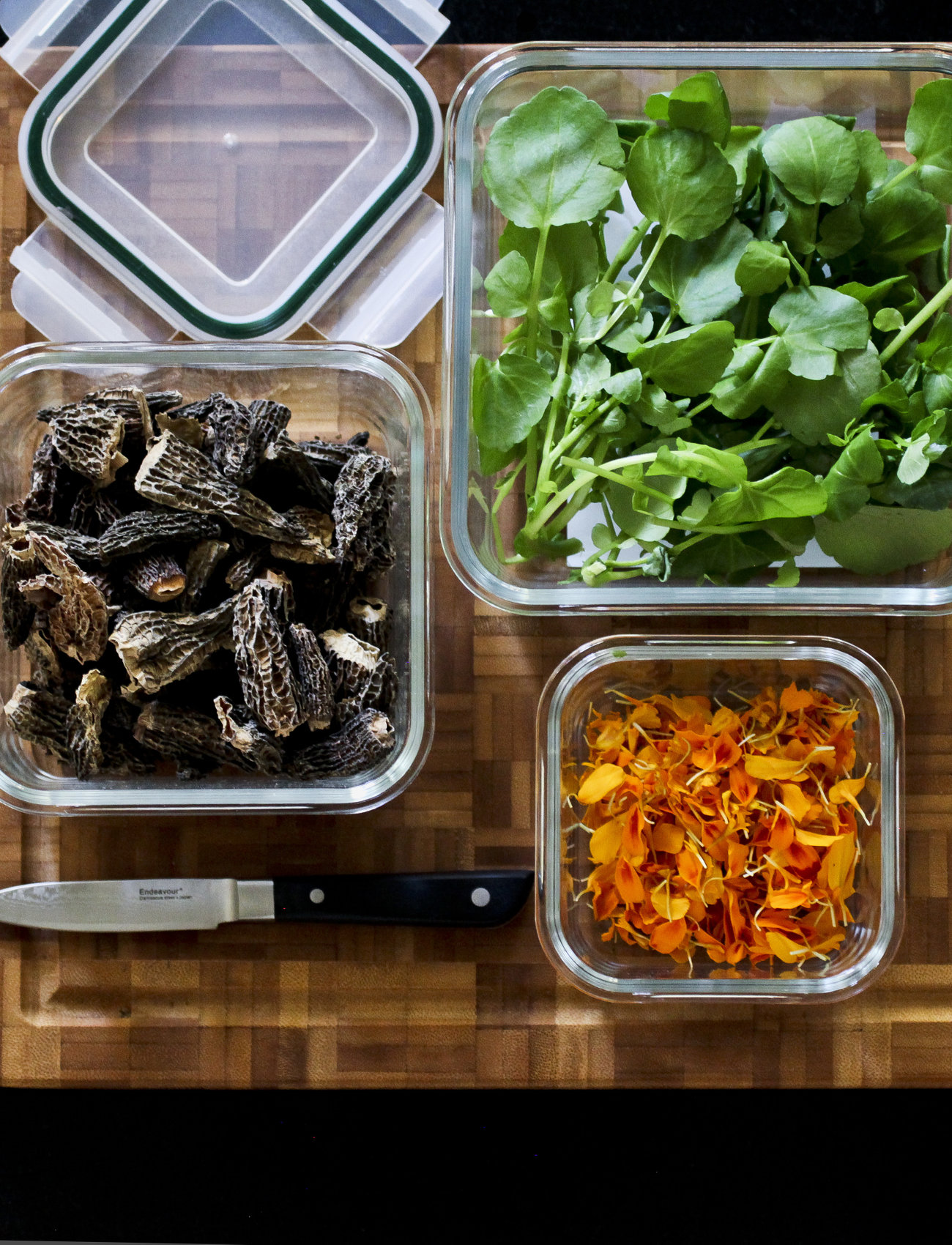 Endeavour - Endeavour® Square Food Box - clear - 2