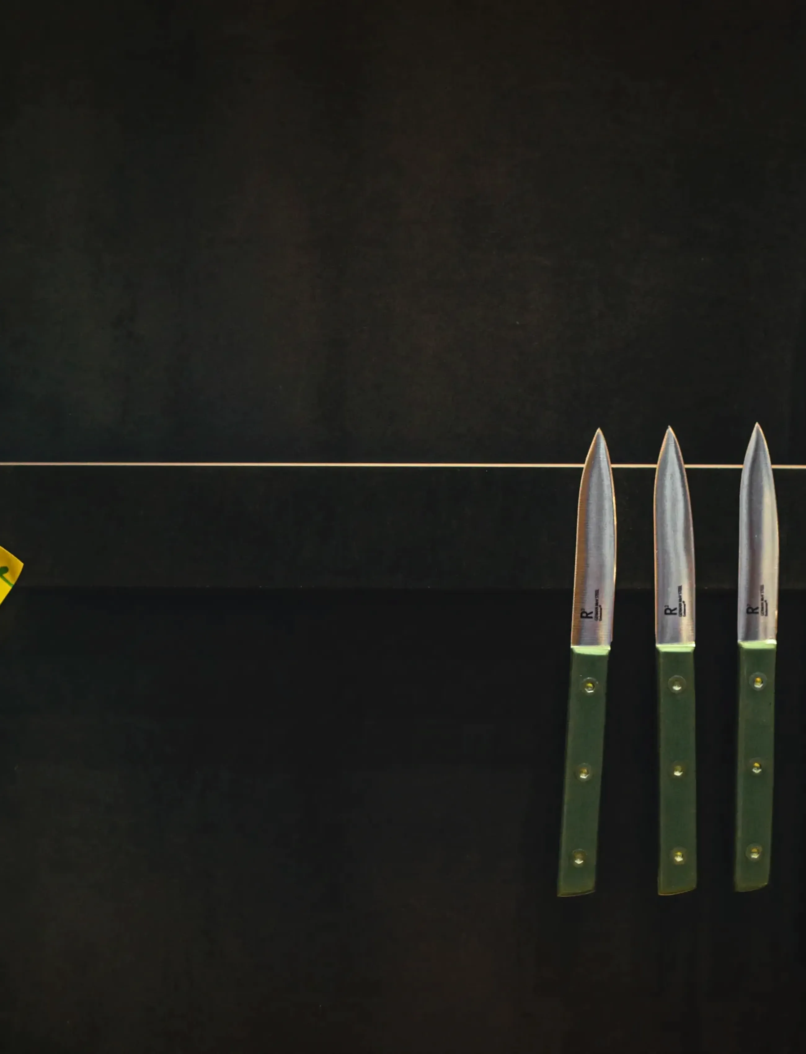 Endeavour - Endeavour Knife Magnet Long - knivblokke - black - 3
