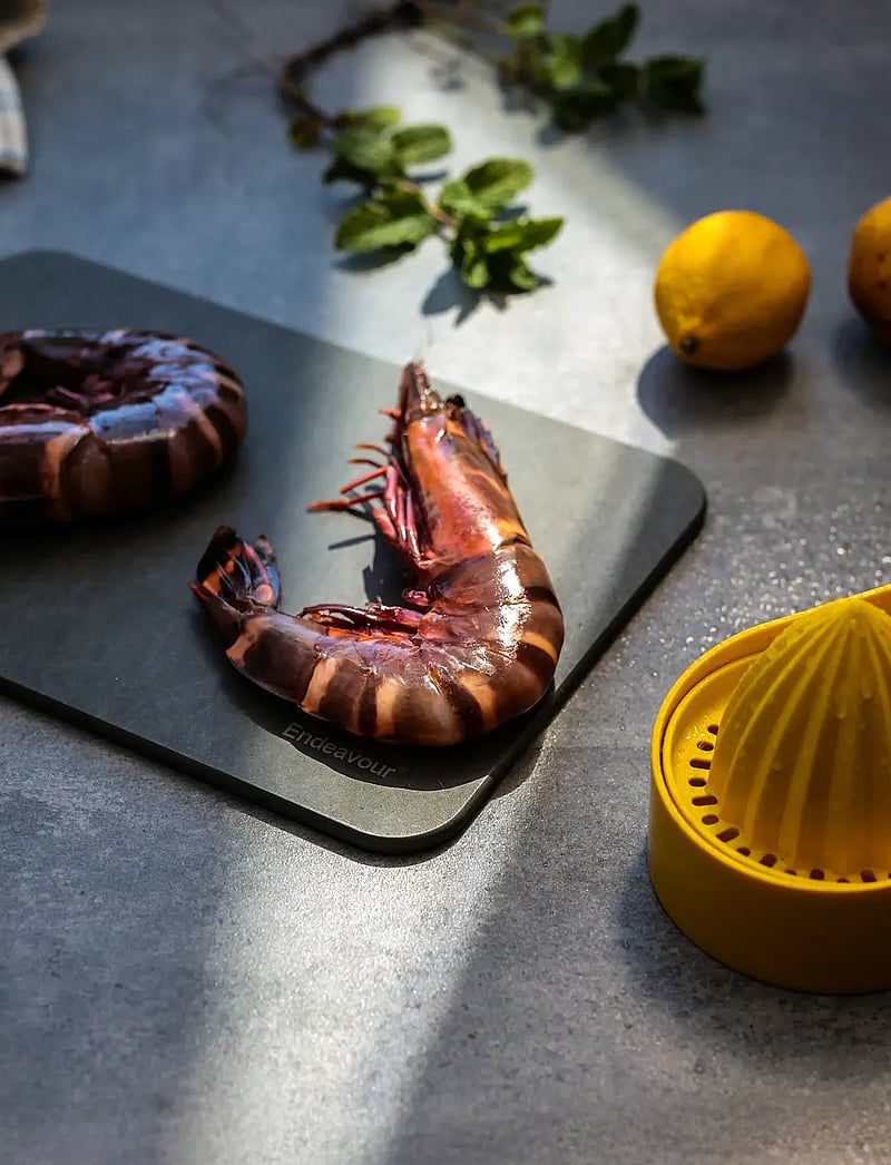 Endeavour - Mini Board Grey - die niedrigsten preise - grey - 2