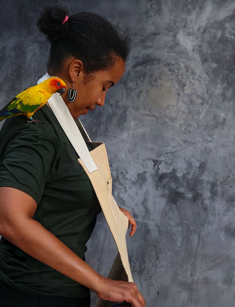 Endeavour - Forklæde canvas beige - shop by price - beige - 5