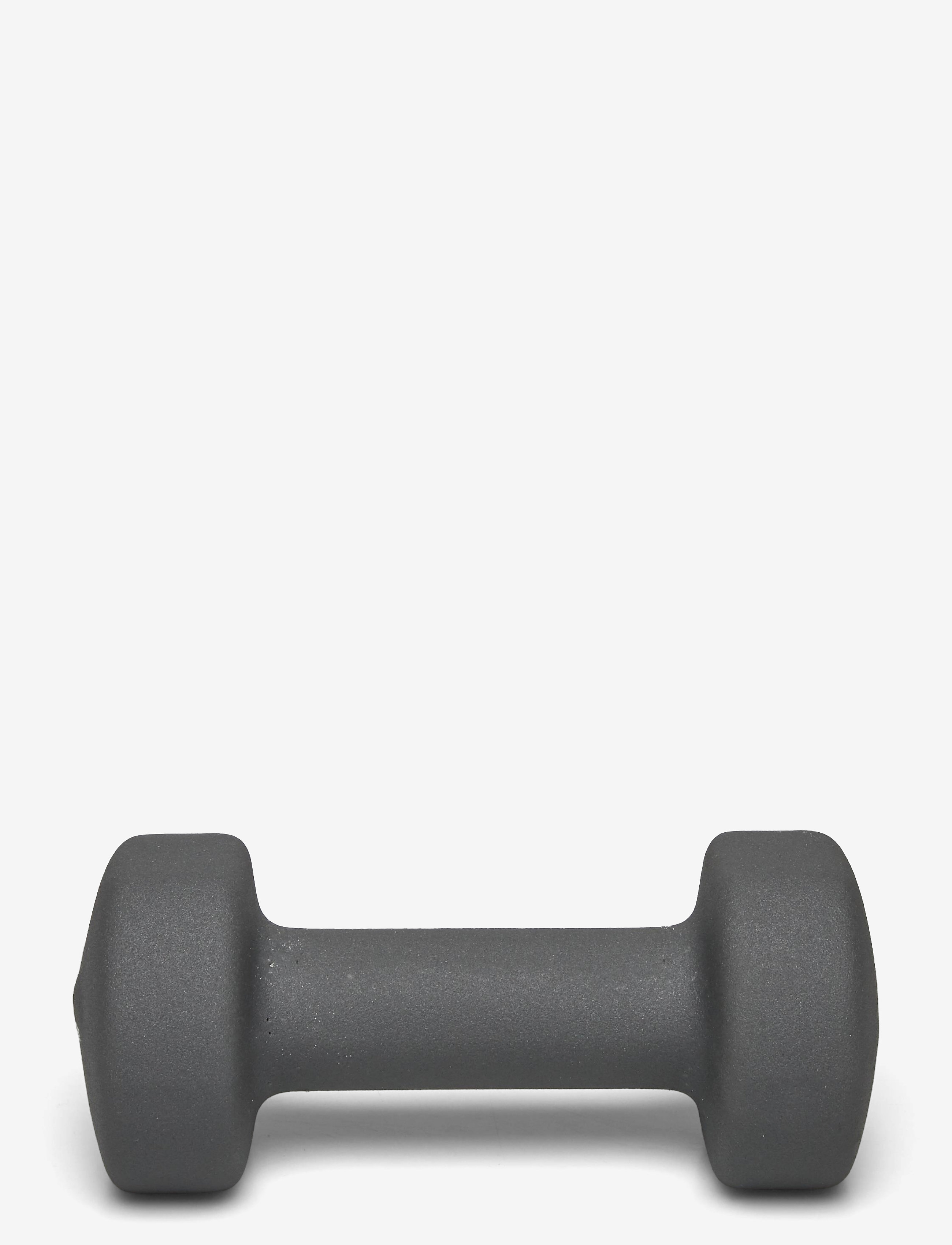 Endurance - Dumbbell 3 KG - lowest prices - frost gray - 1