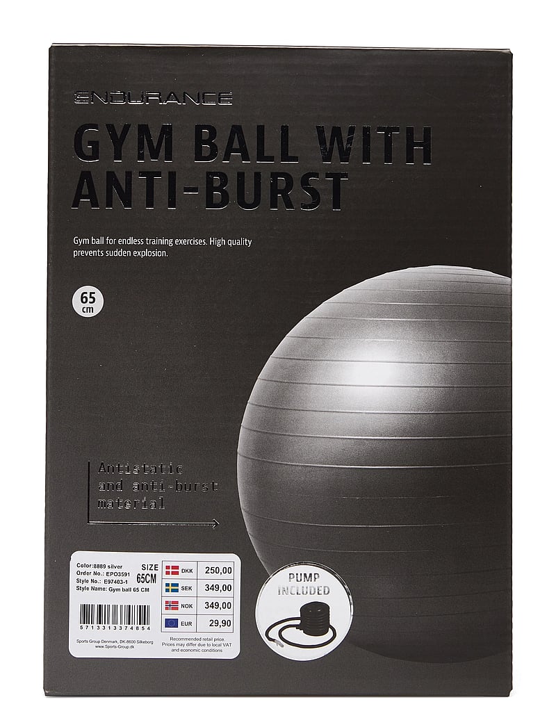Endurance - Gym ball 65 CM - hjemmetræningsudstyr - silver - 1