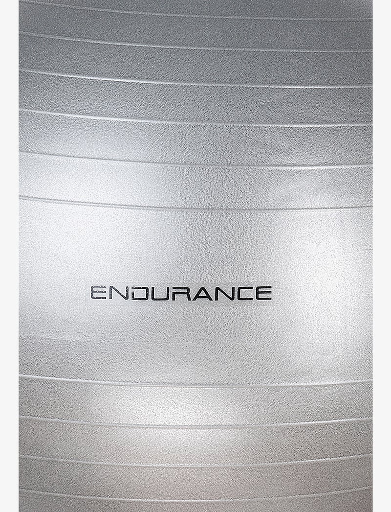 Endurance - Gym ball 65 CM - hjemmetræningsudstyr - silver - 2