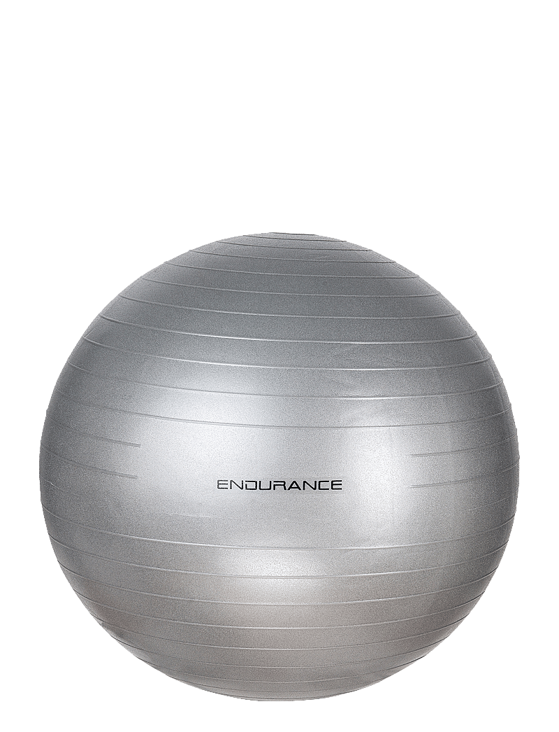 Endurance - Gym ball 65 CM - hjemmetræningsudstyr - silver - 3