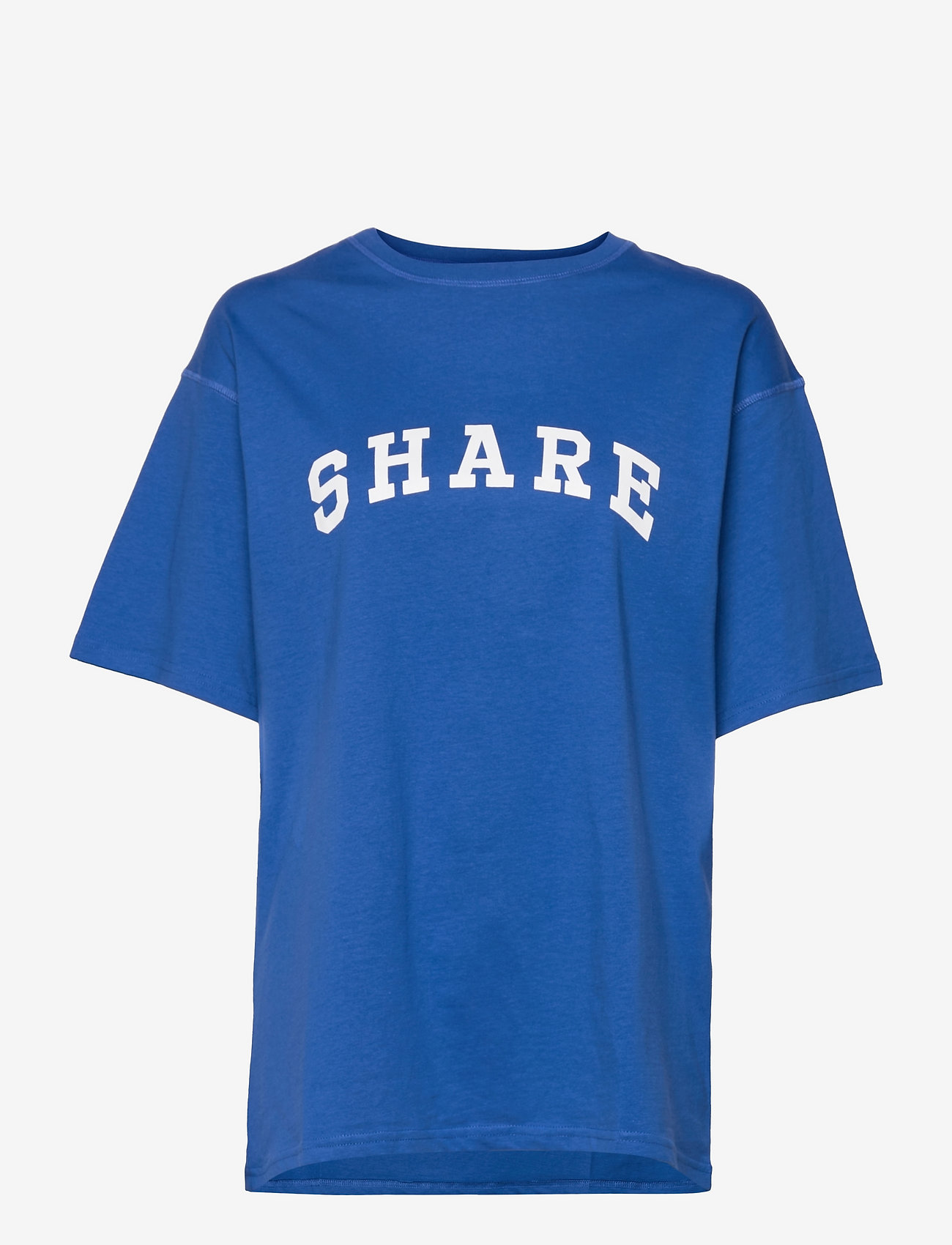 Envii - ENJUSTIN SS TEE PRINT 5310 - blue share - 0