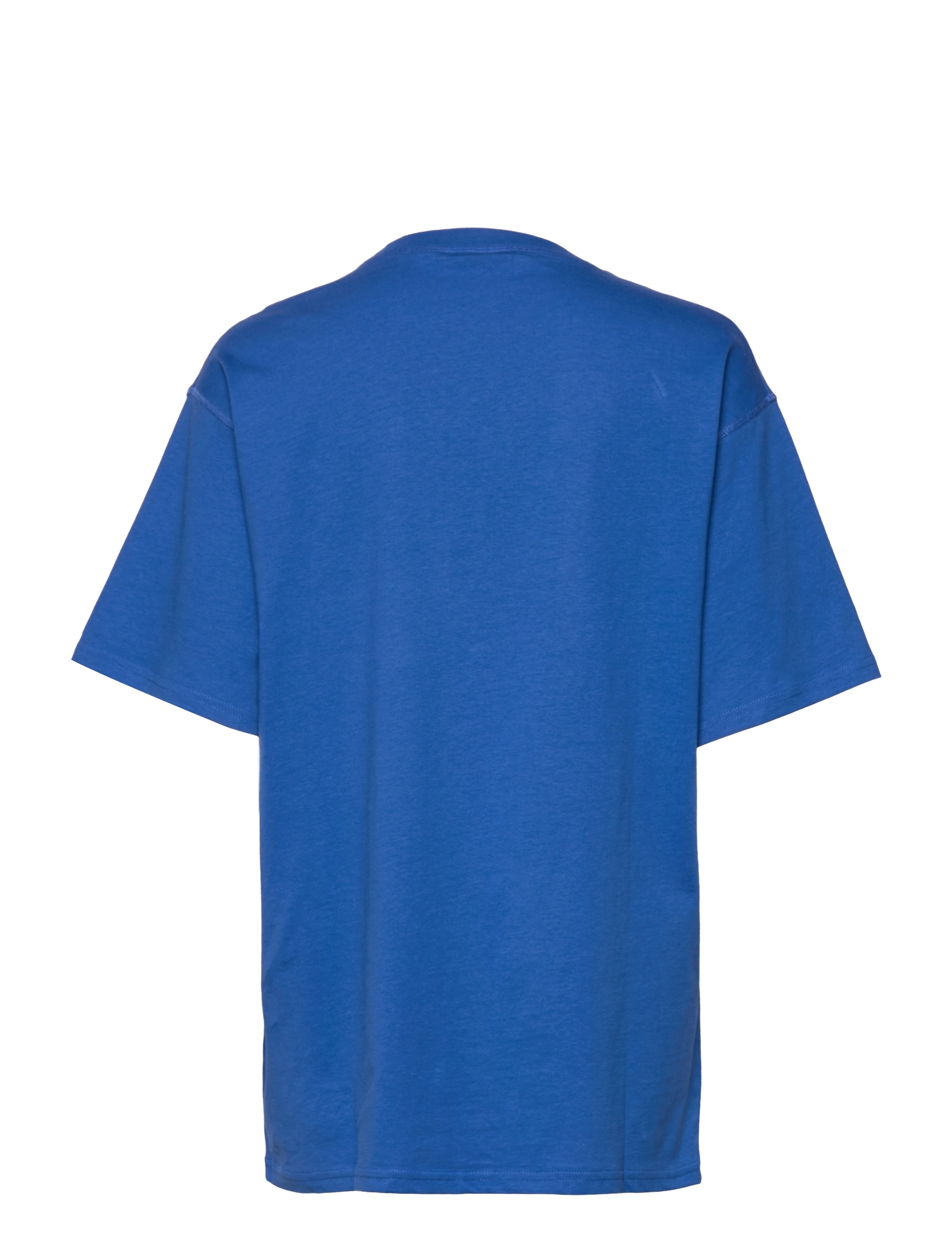 Envii - ENJUSTIN SS TEE PRINT 5310 - blue share - 1