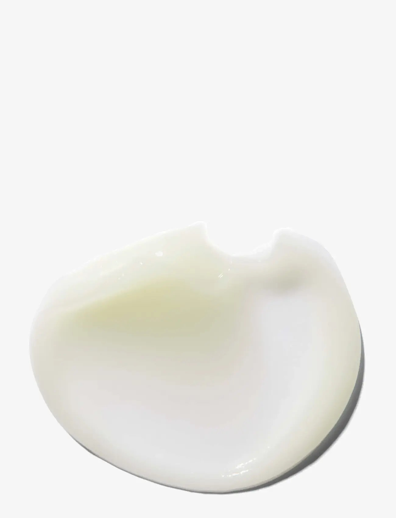 Erborian - Bamboo Creme Frappee - dagcremer - no color - 1