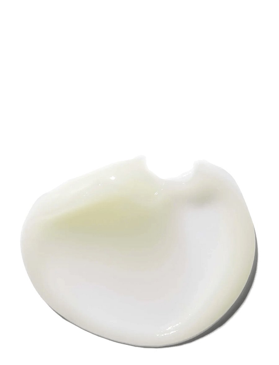 Erborian - Bamboo Creme Frappee - päevakreemid - no color - 1