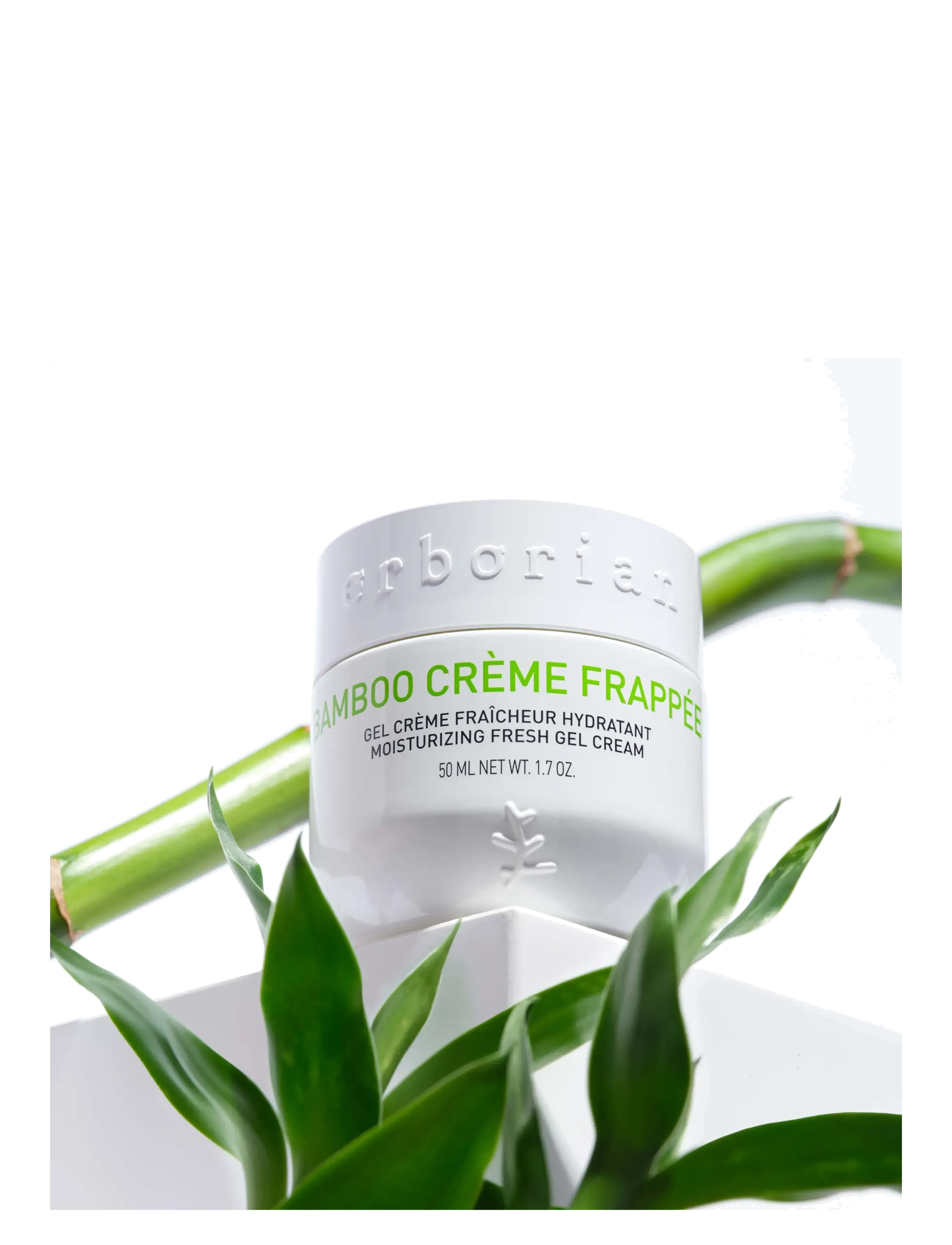 Bamboo Cream Frappée 5