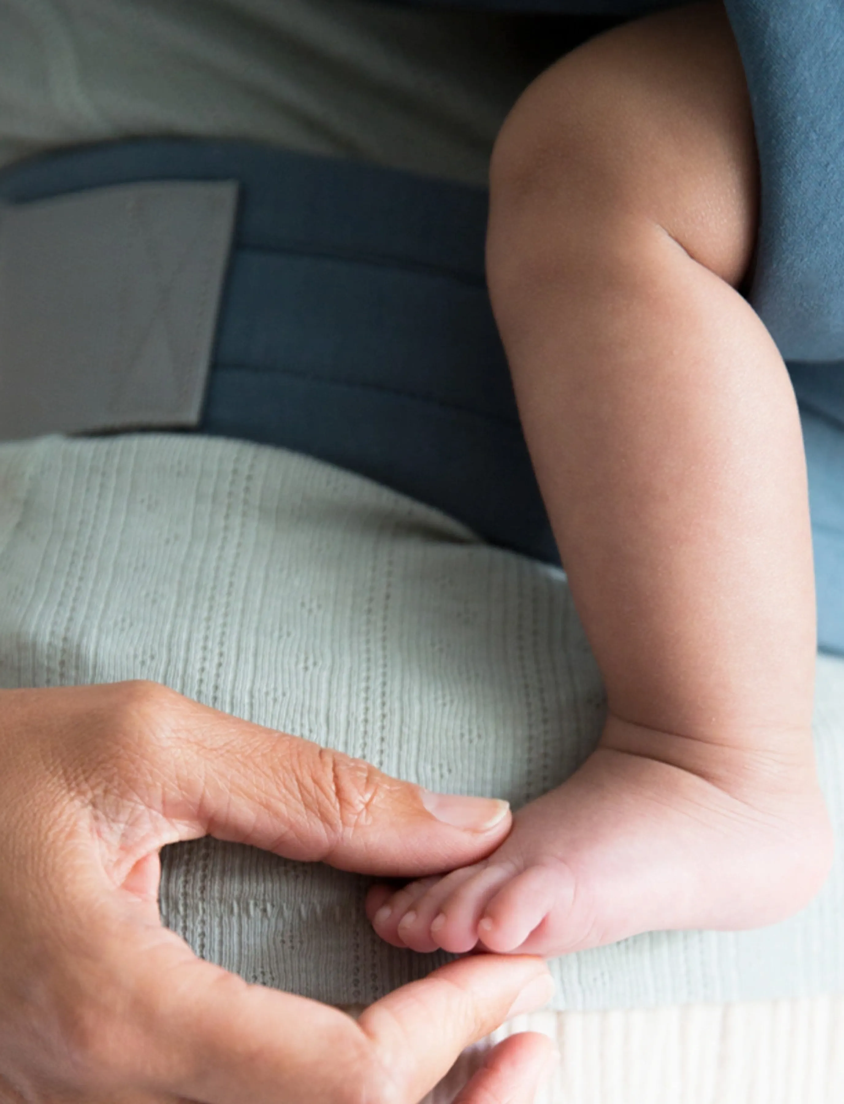 Ergobaby - Embrace - bæreseler - oxford blue - 2