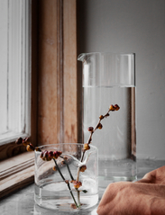 ERNST - Glass jug - die niedrigsten preise - clear - 1