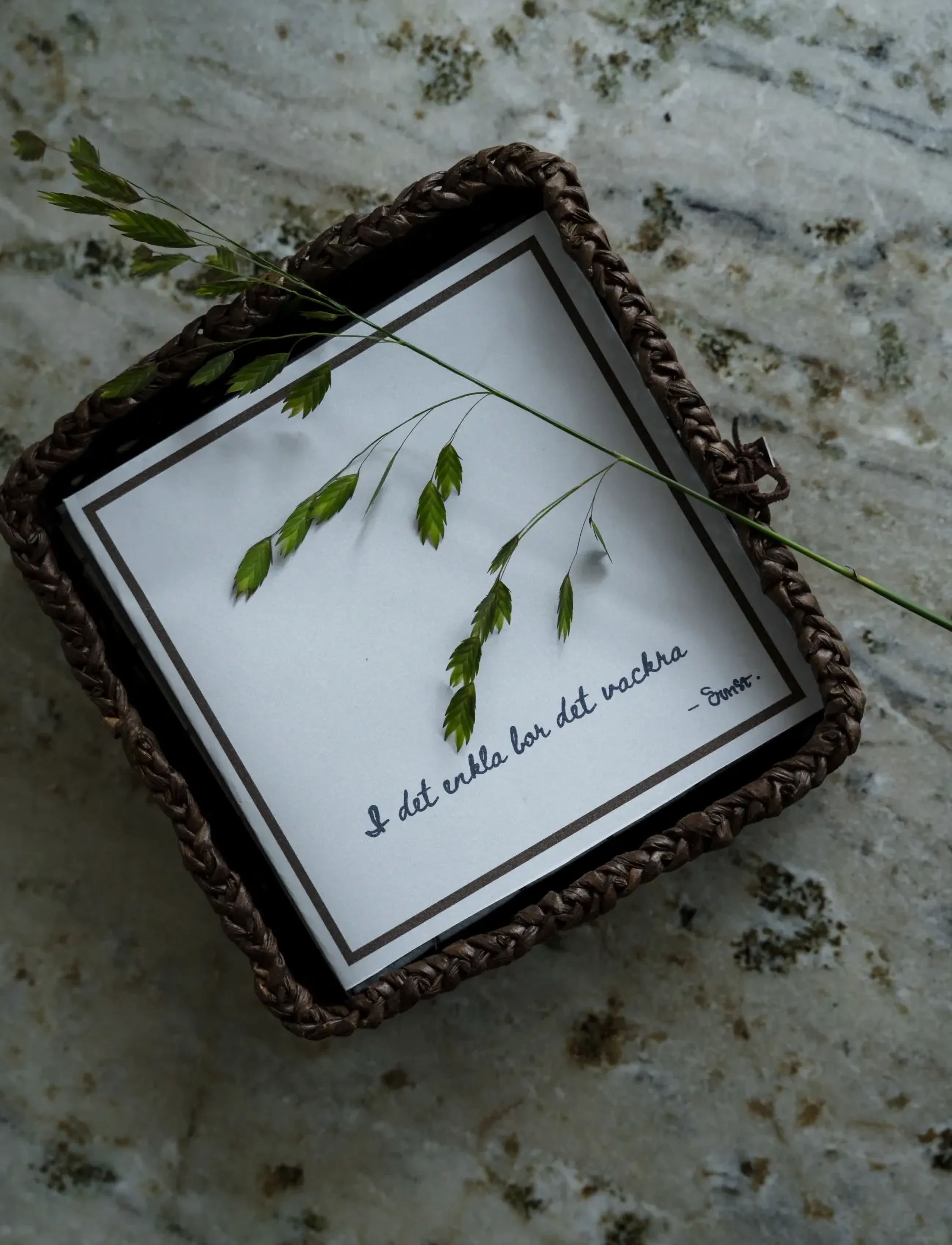 ERNST Paper Napkin, One Size, Napkins, Weiß - Homeware