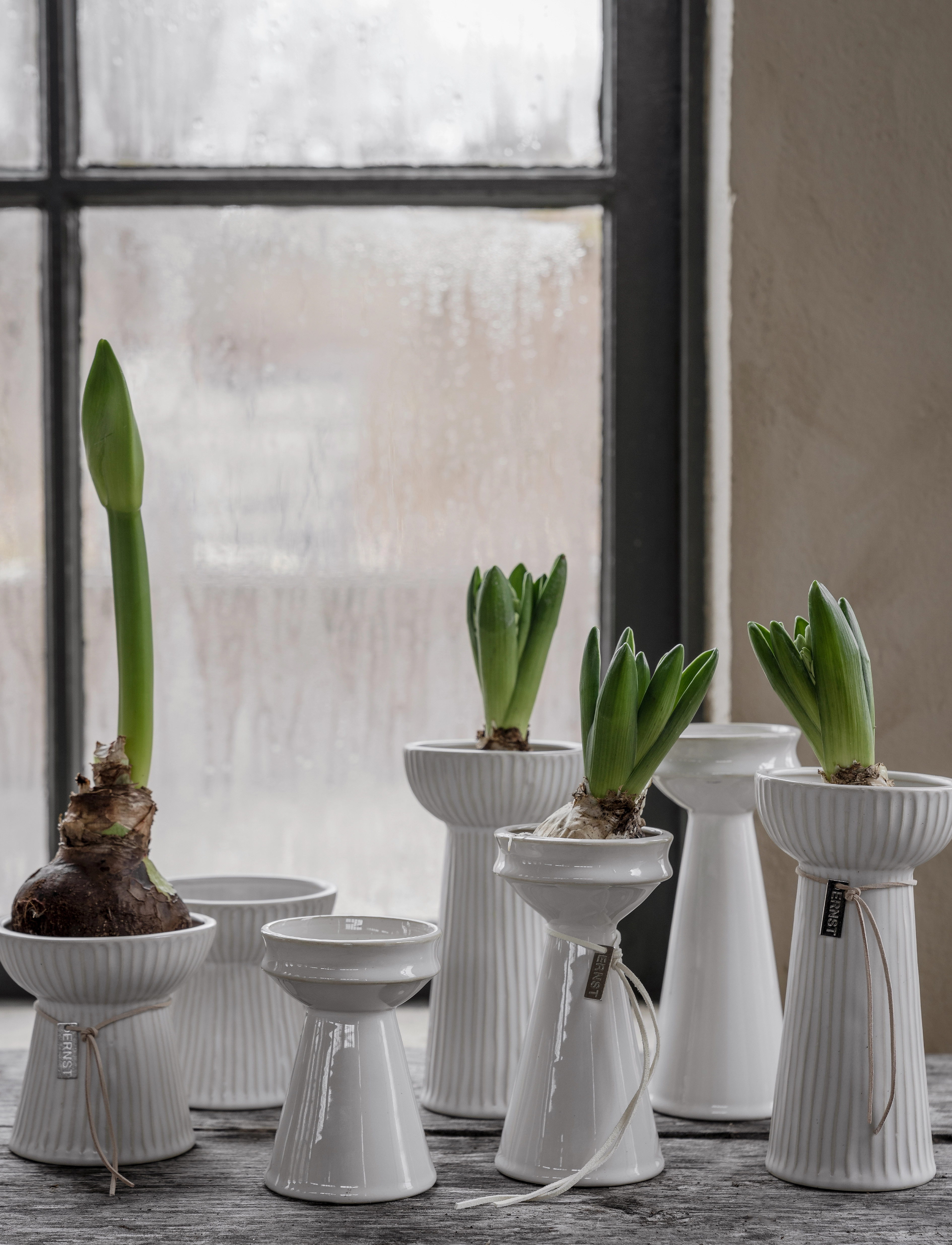 ERNST - Vase - vases - natural white - 1
