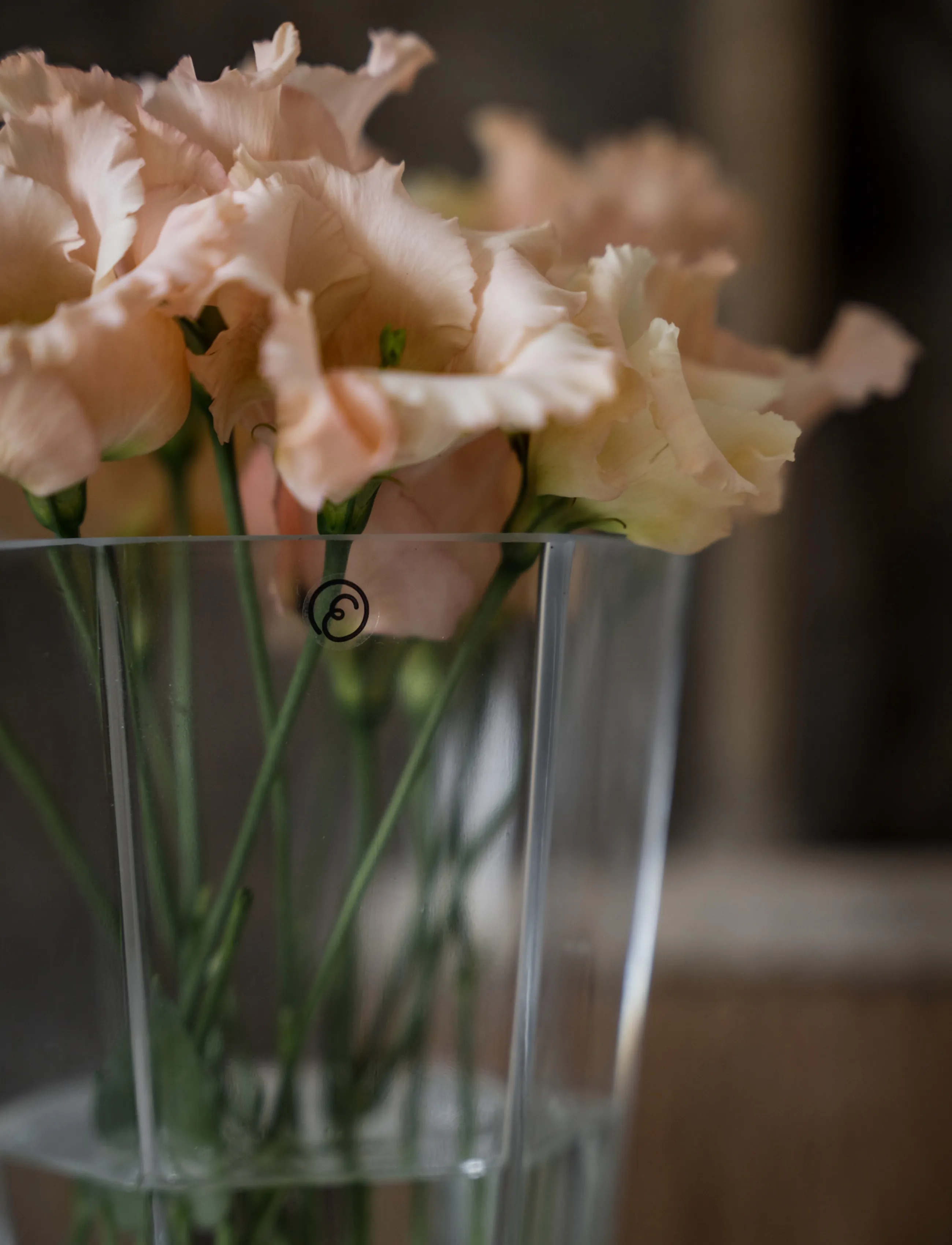 ERNST - Vase - vaasid - clear - 2