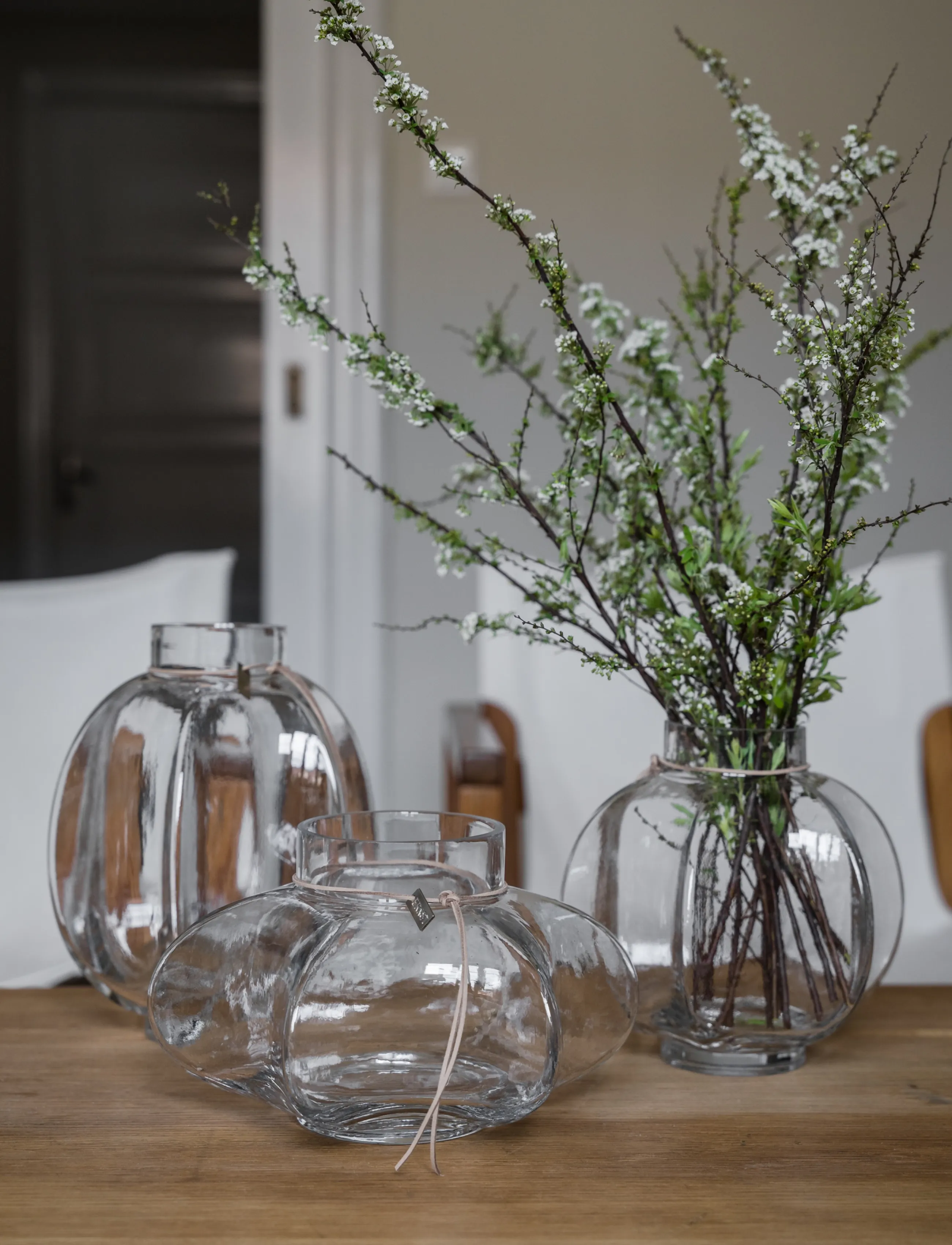 ERNST - Vase - vaasid - clear - 5
