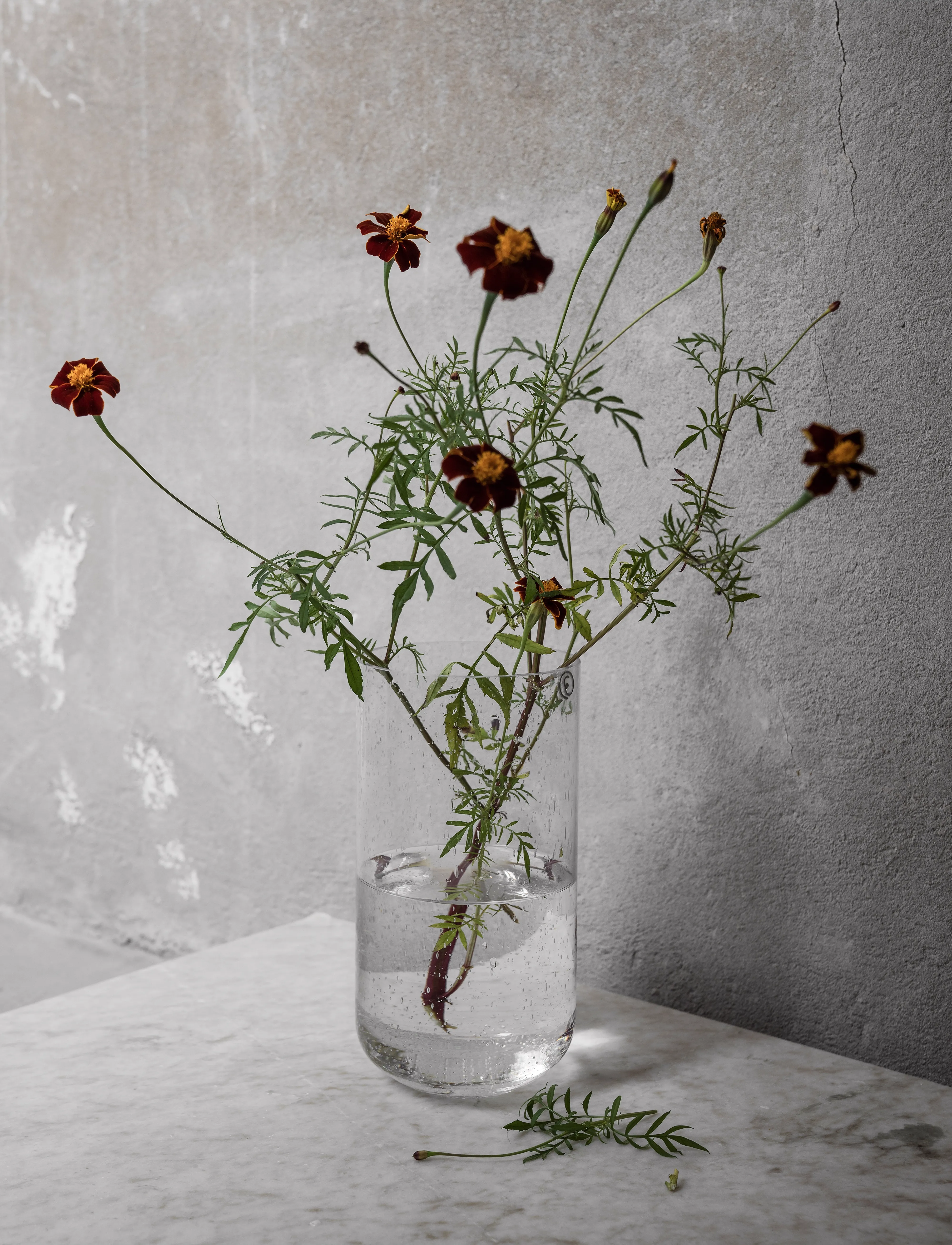 ERNST Glassvase, H25 cm, Vases, Silber - Tulip Homeware