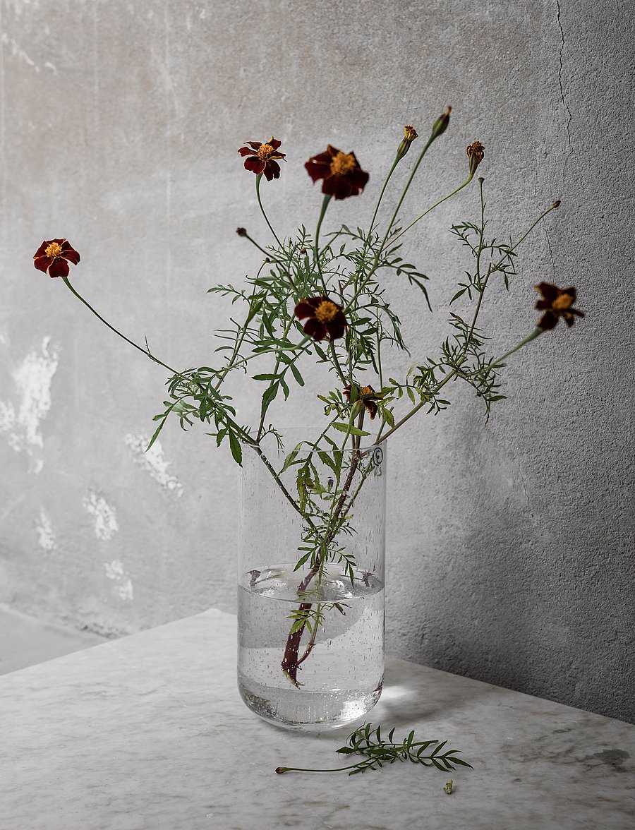 ERNST - Glassvase - die niedrigsten preise - clear - 1