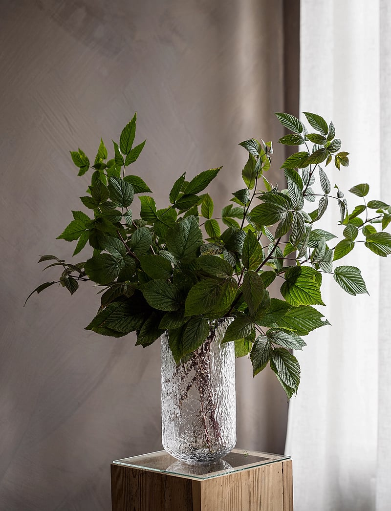 ERNST - Glassvase - die niedrigsten preise - clear - 2