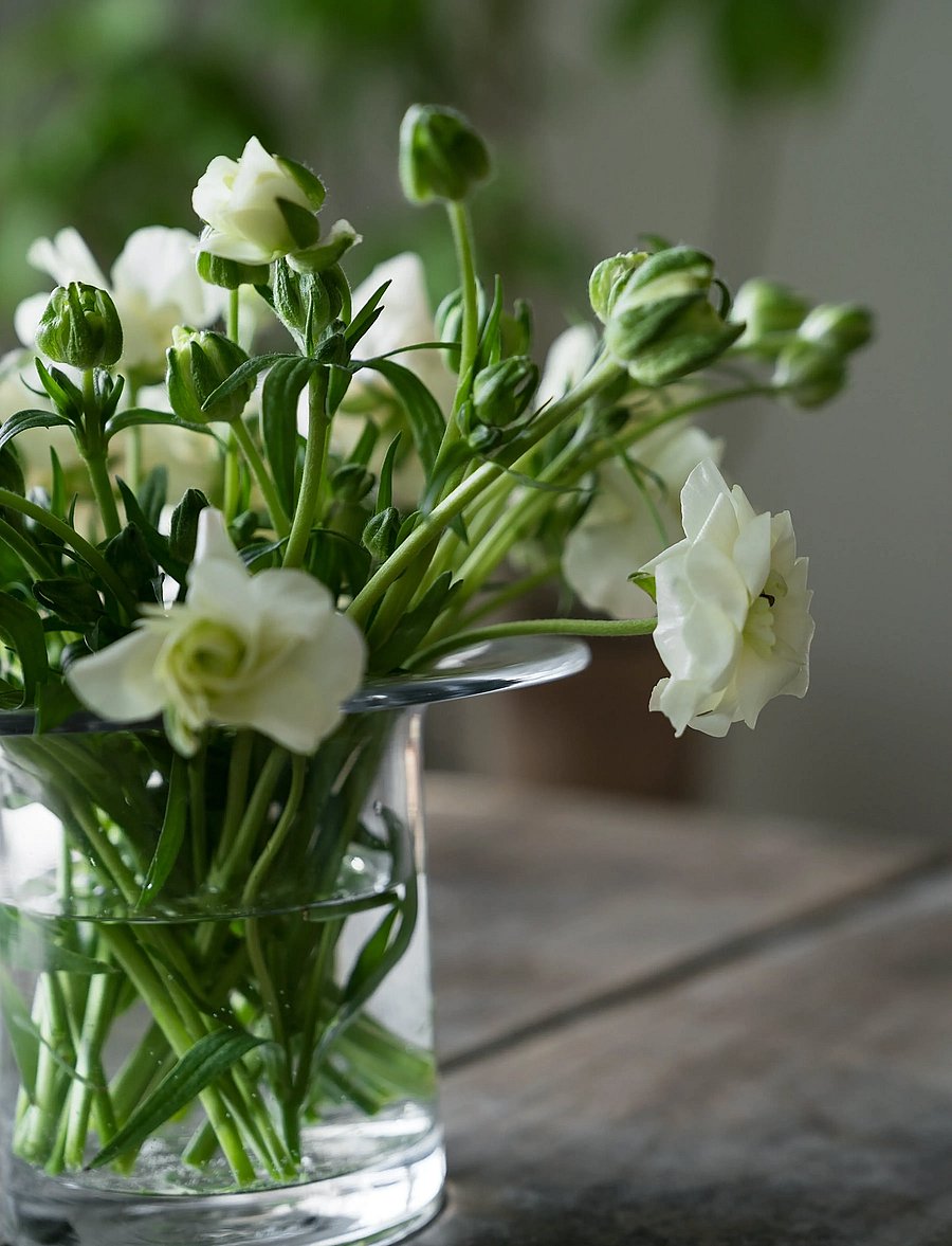 ERNST - Glassvase - vaasid - clear - 3