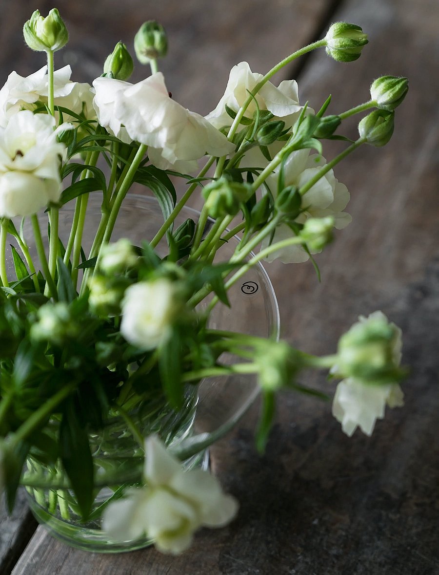 ERNST - Glassvase - vaasid - clear - 4