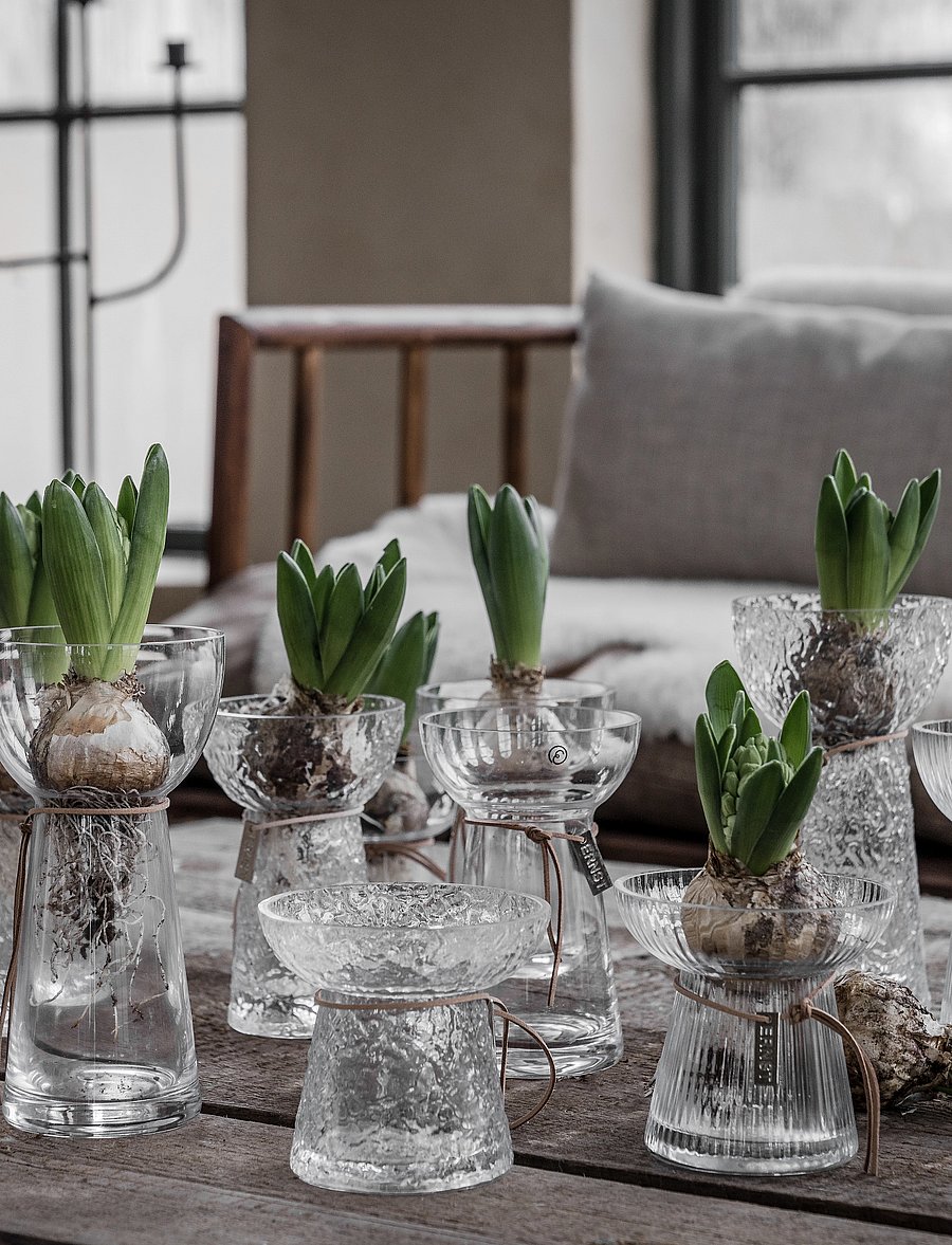 ERNST - Vase - osta hinna alusel - clear - 0