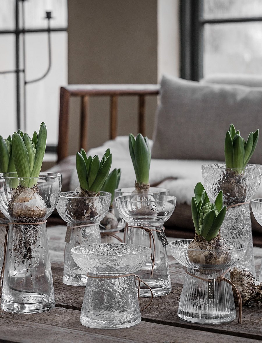 ERNST - Glassvase - vaasid - clear - 0