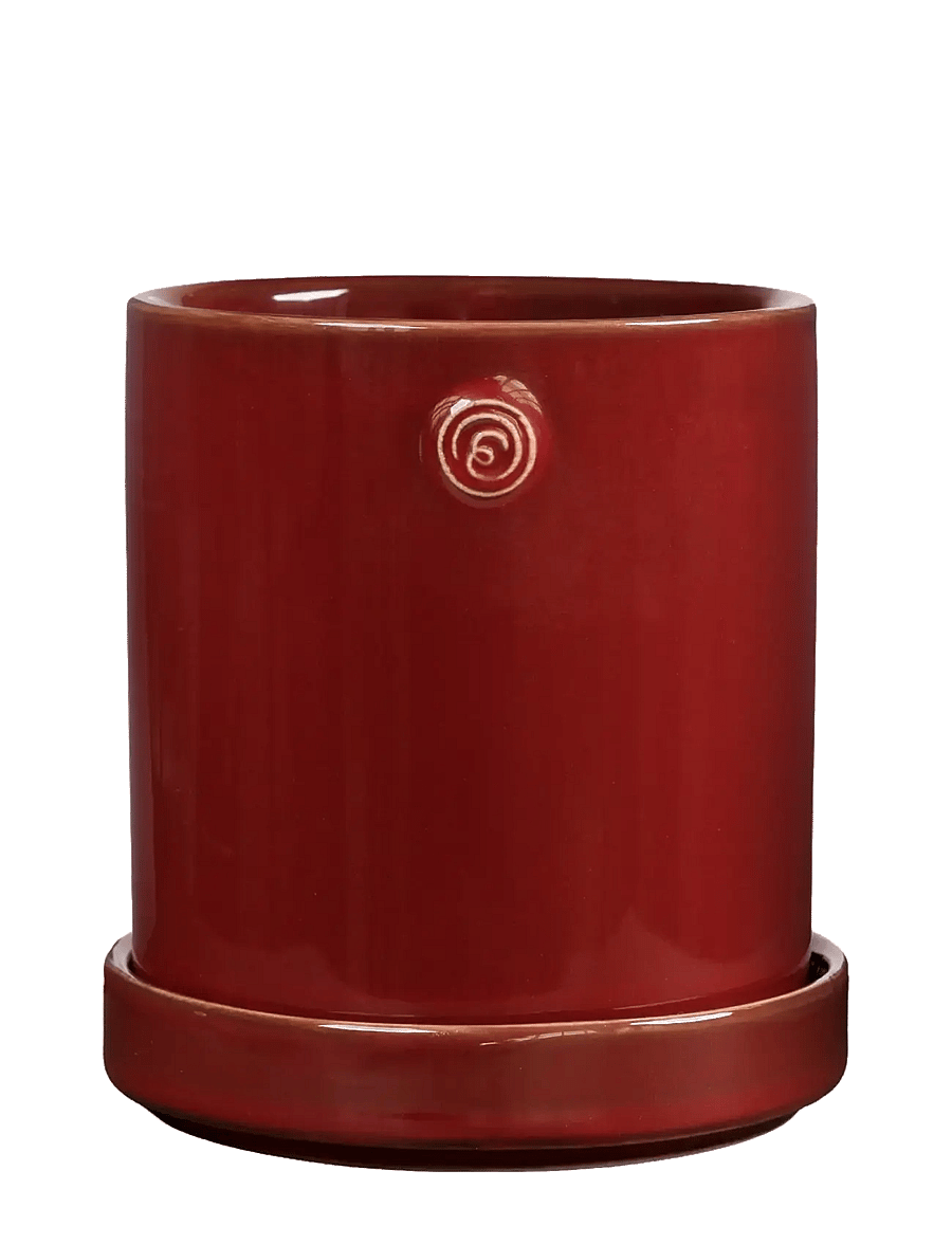 ERNST - Pot - madalaimad hinnad - red - 0