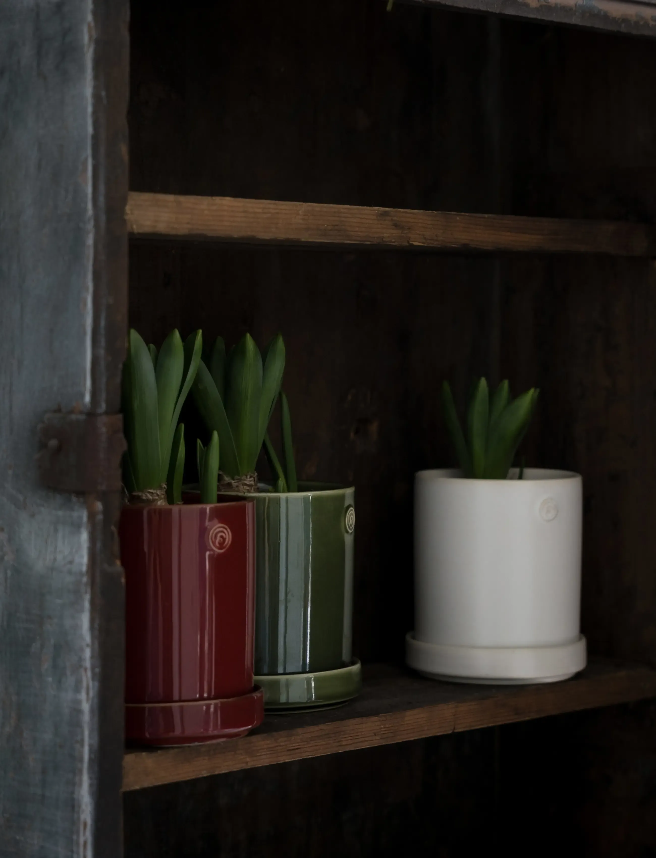 ERNST - Pot - red - 2