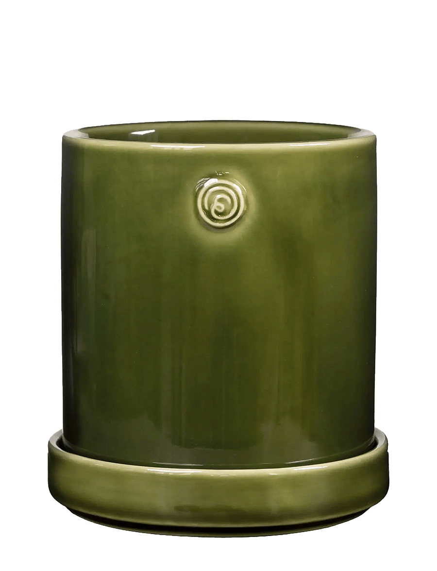 ERNST - Pot - madalaimad hinnad - green - 0