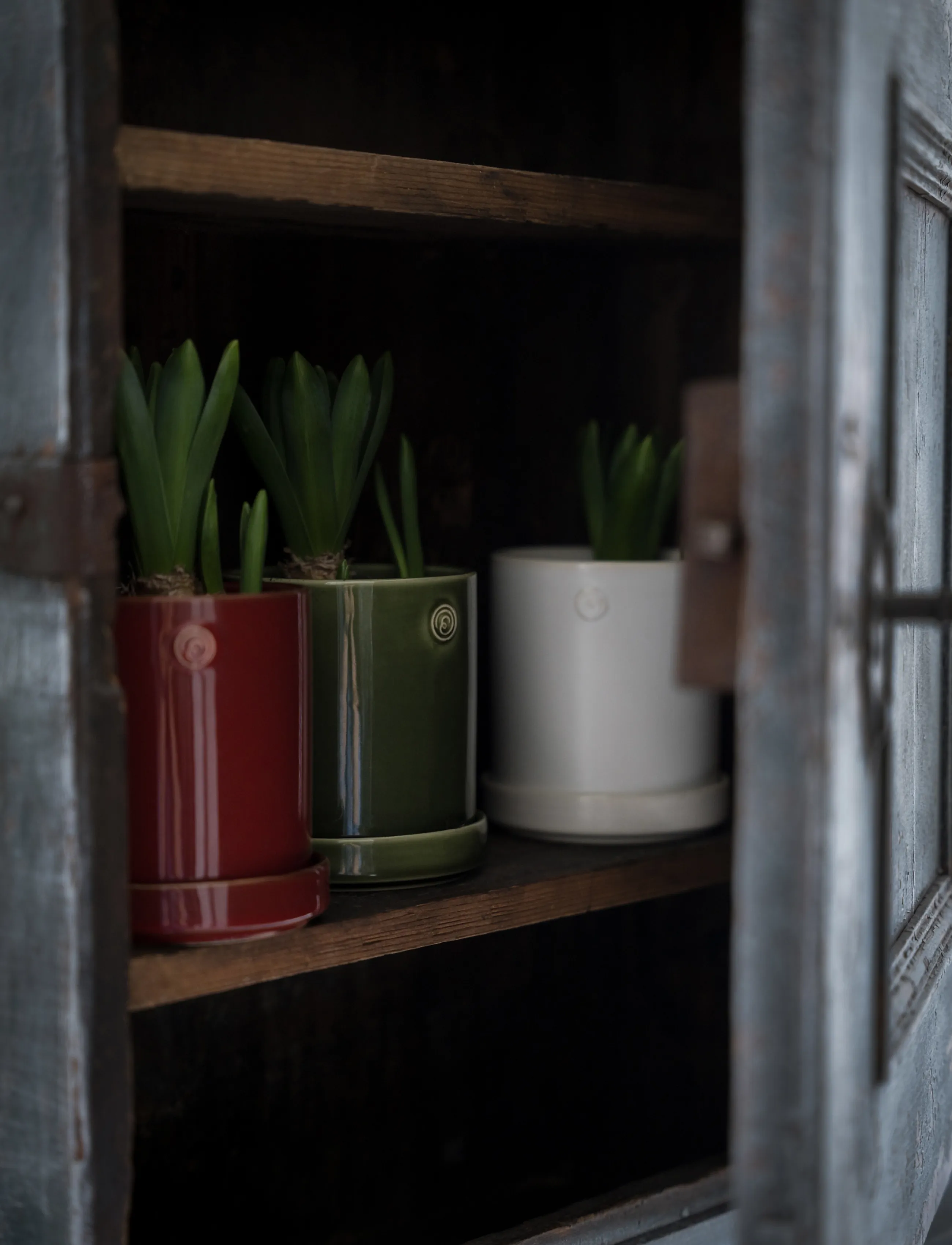 ERNST - Pot - green - 2