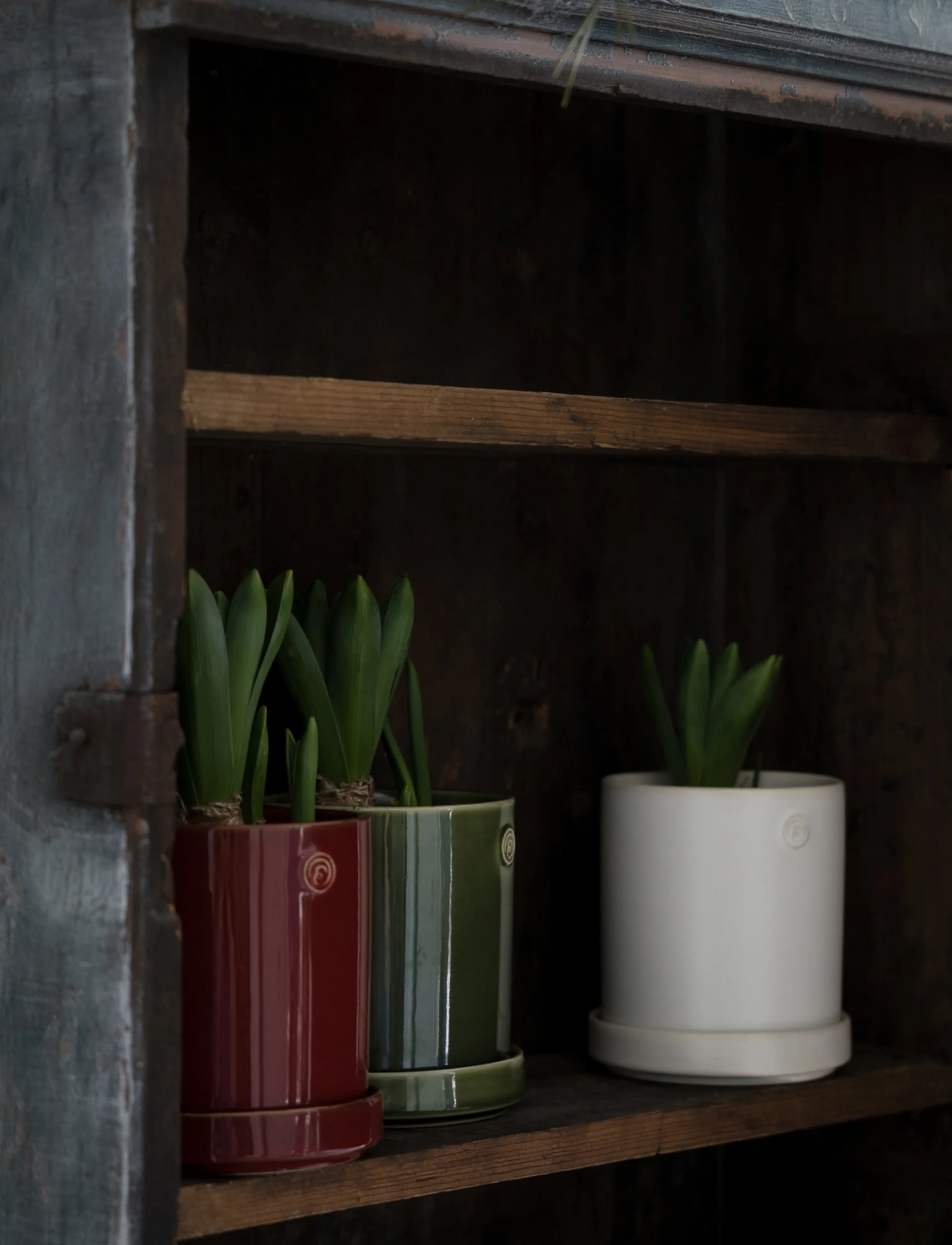 ERNST - Pot - red - 2