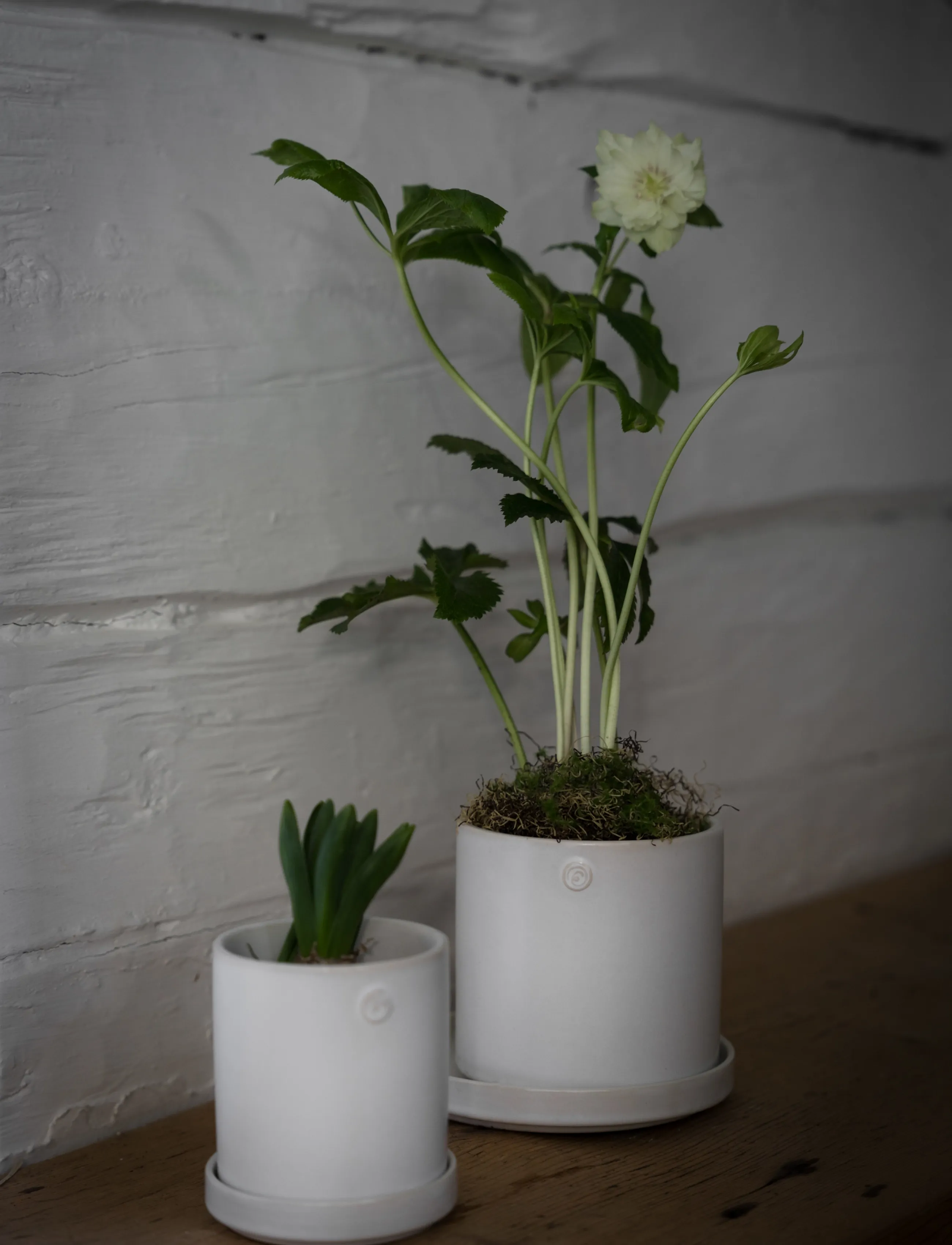 ERNST - Pot - white - 2