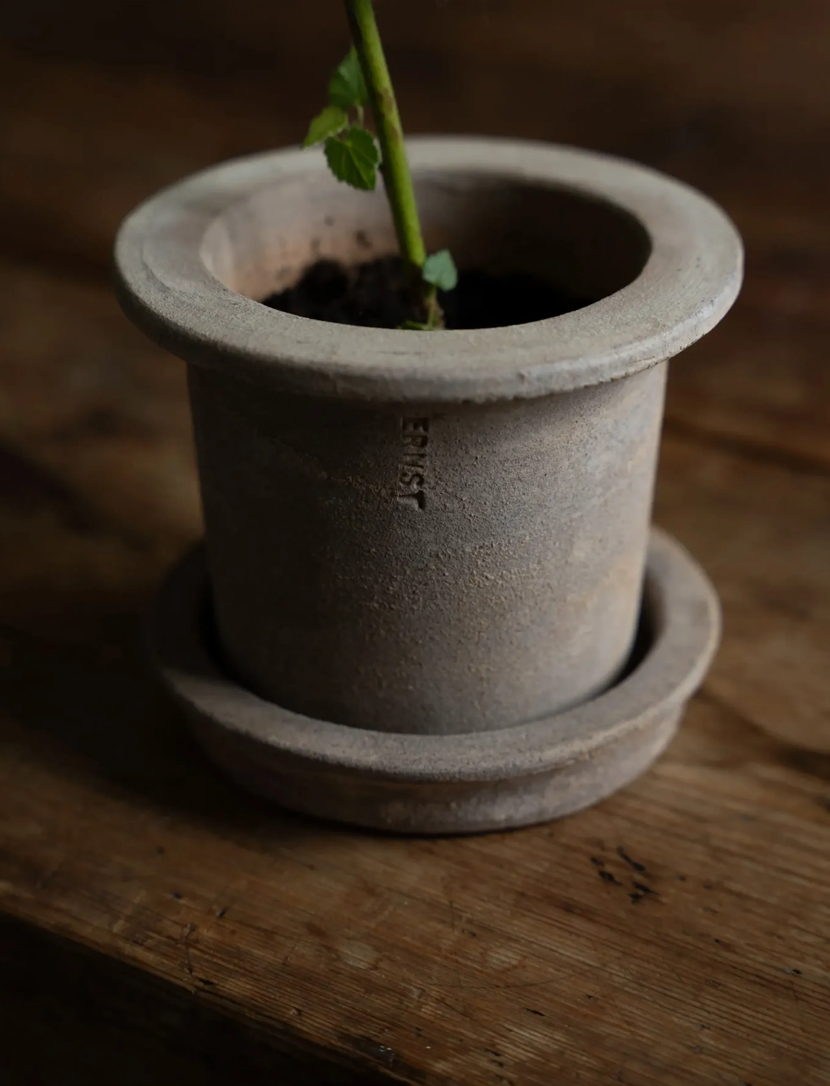 ERNST - Pot w saucer - trädgårdstillbehör - terracotta - 3