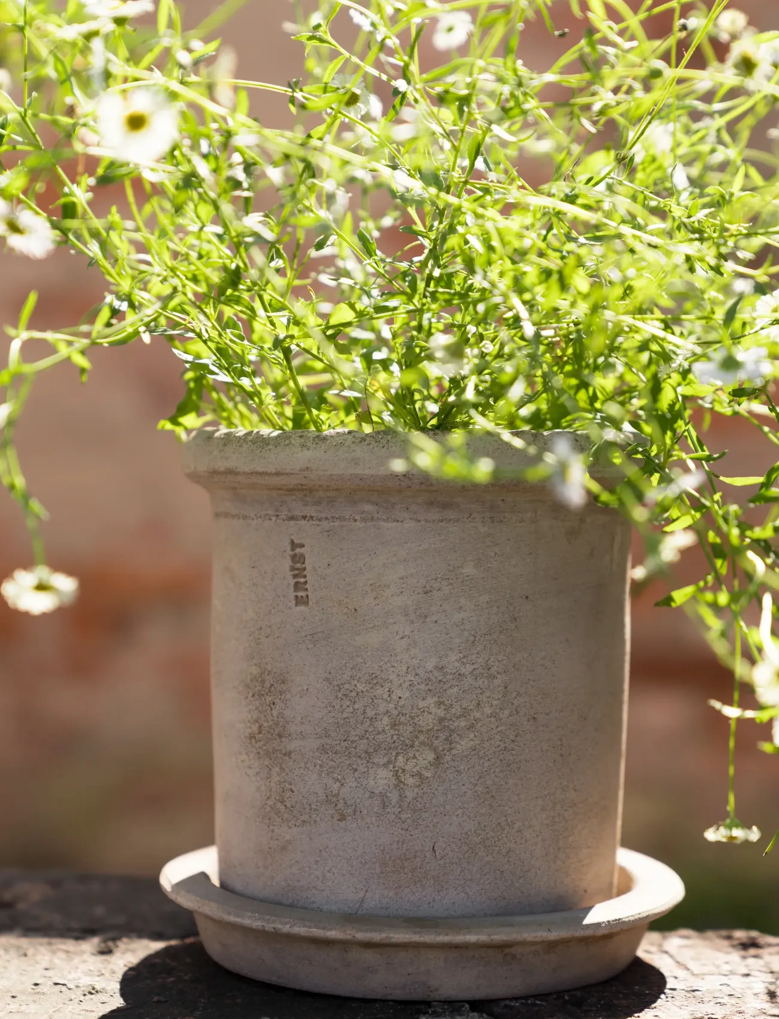 ERNST - Pot w saucer - gartenzubehör - terracotta - 3